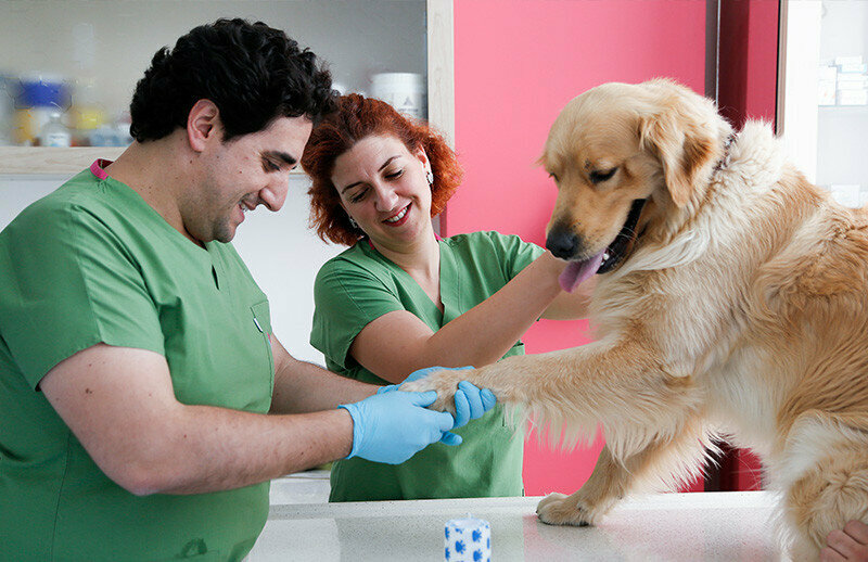 Furniture store Acana Sakarya, Adapazari, photo