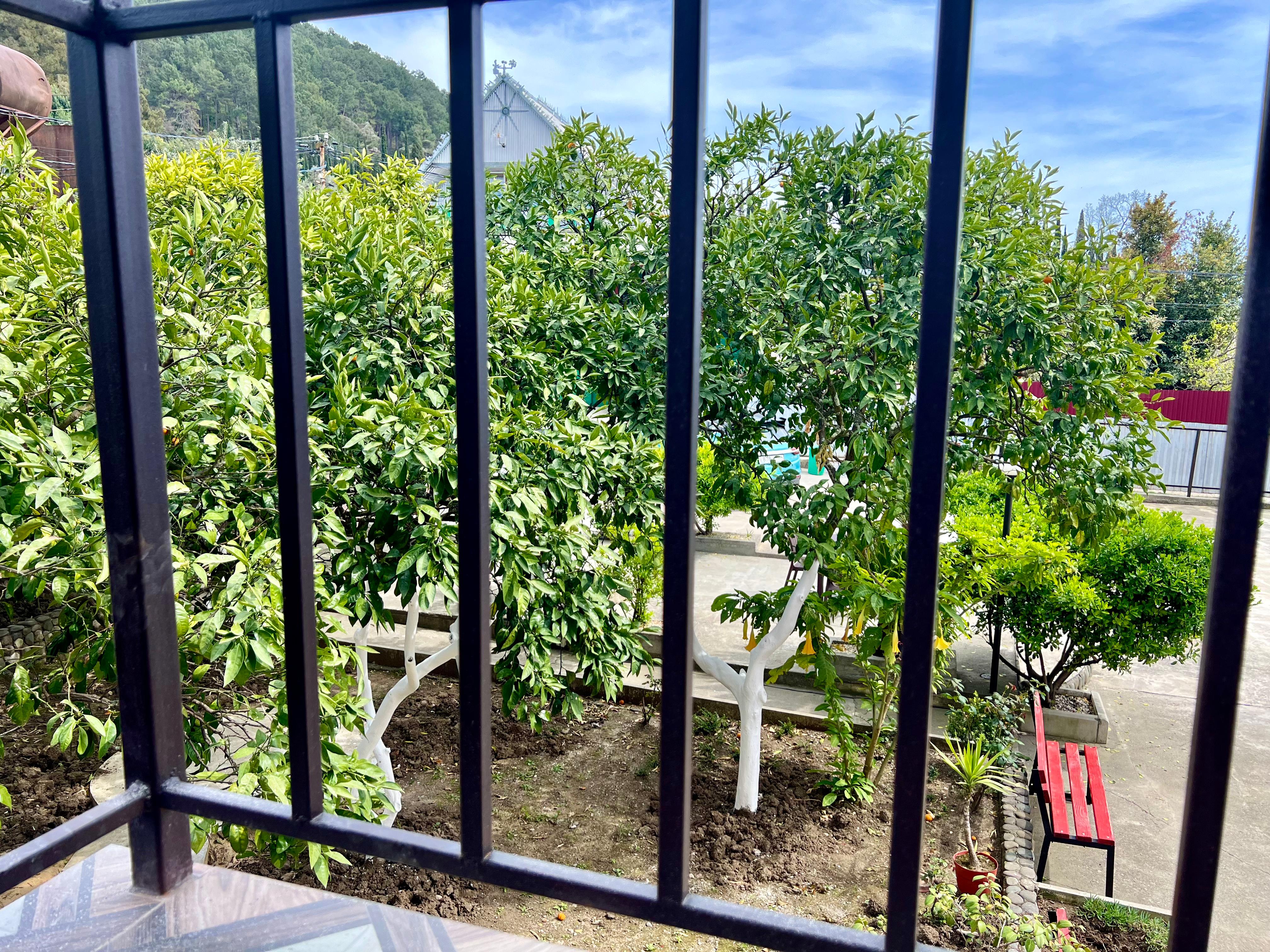 Фото Стрелец