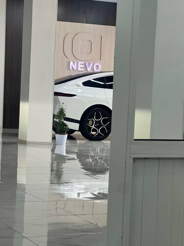 Pussy va eshak orqa korinishi fotosuratlar