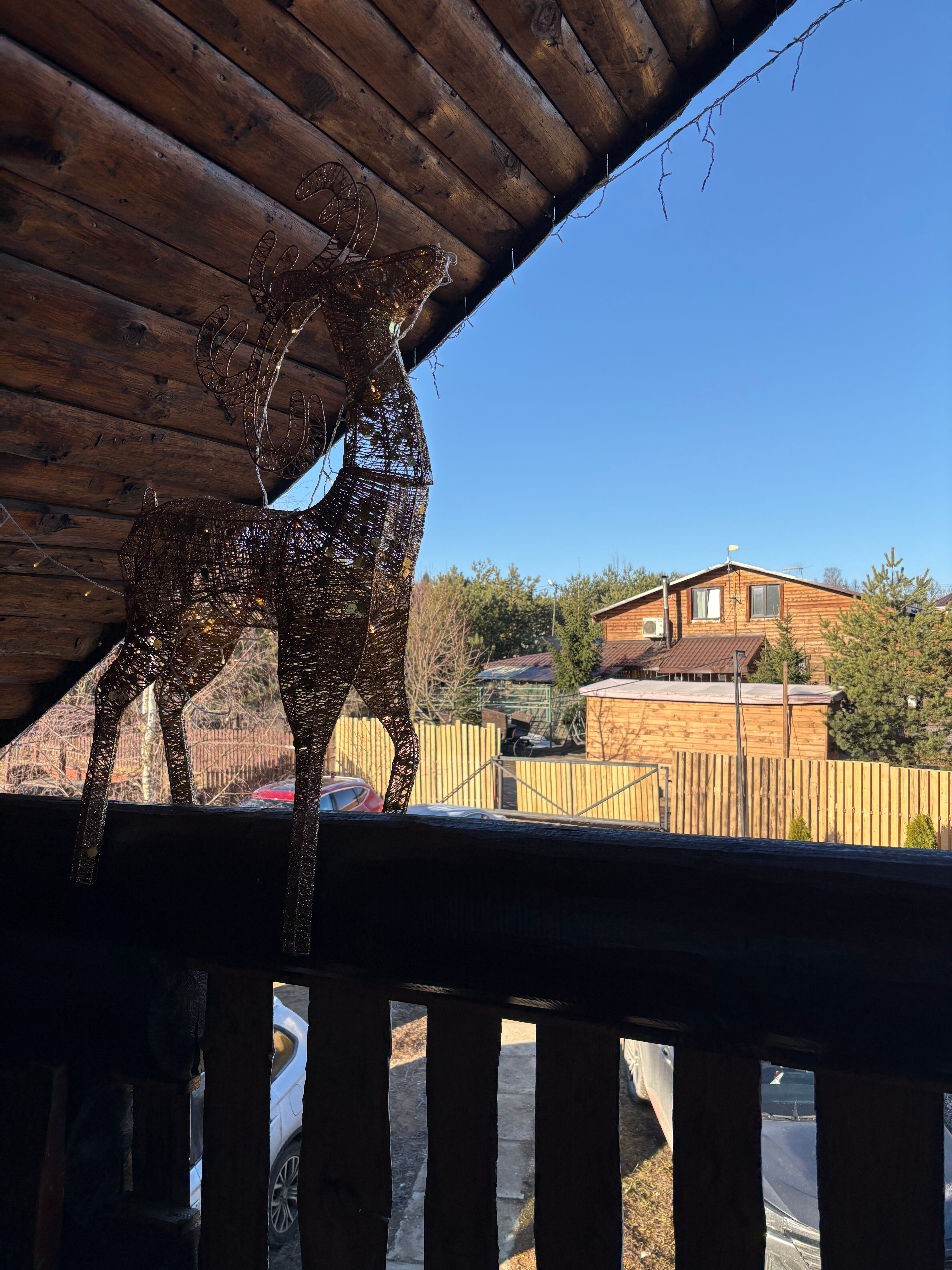 Фото Матрешкино