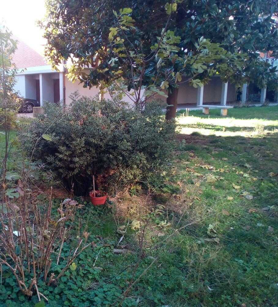 Фото B&b Acquario