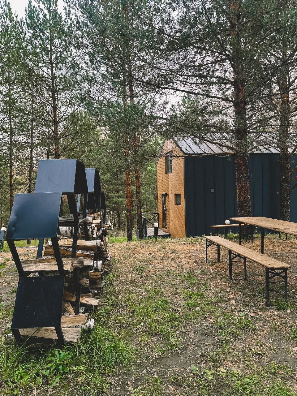 Фото Дом в Лесу