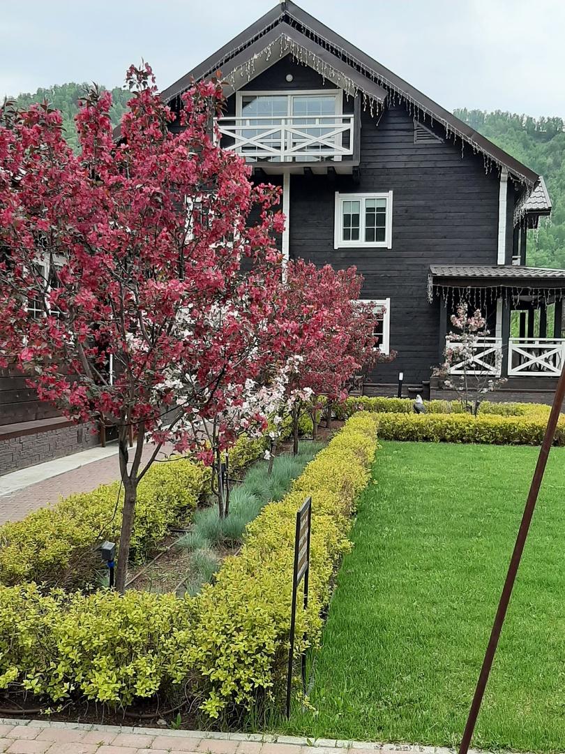 Фото Апарт комплекс Алтай