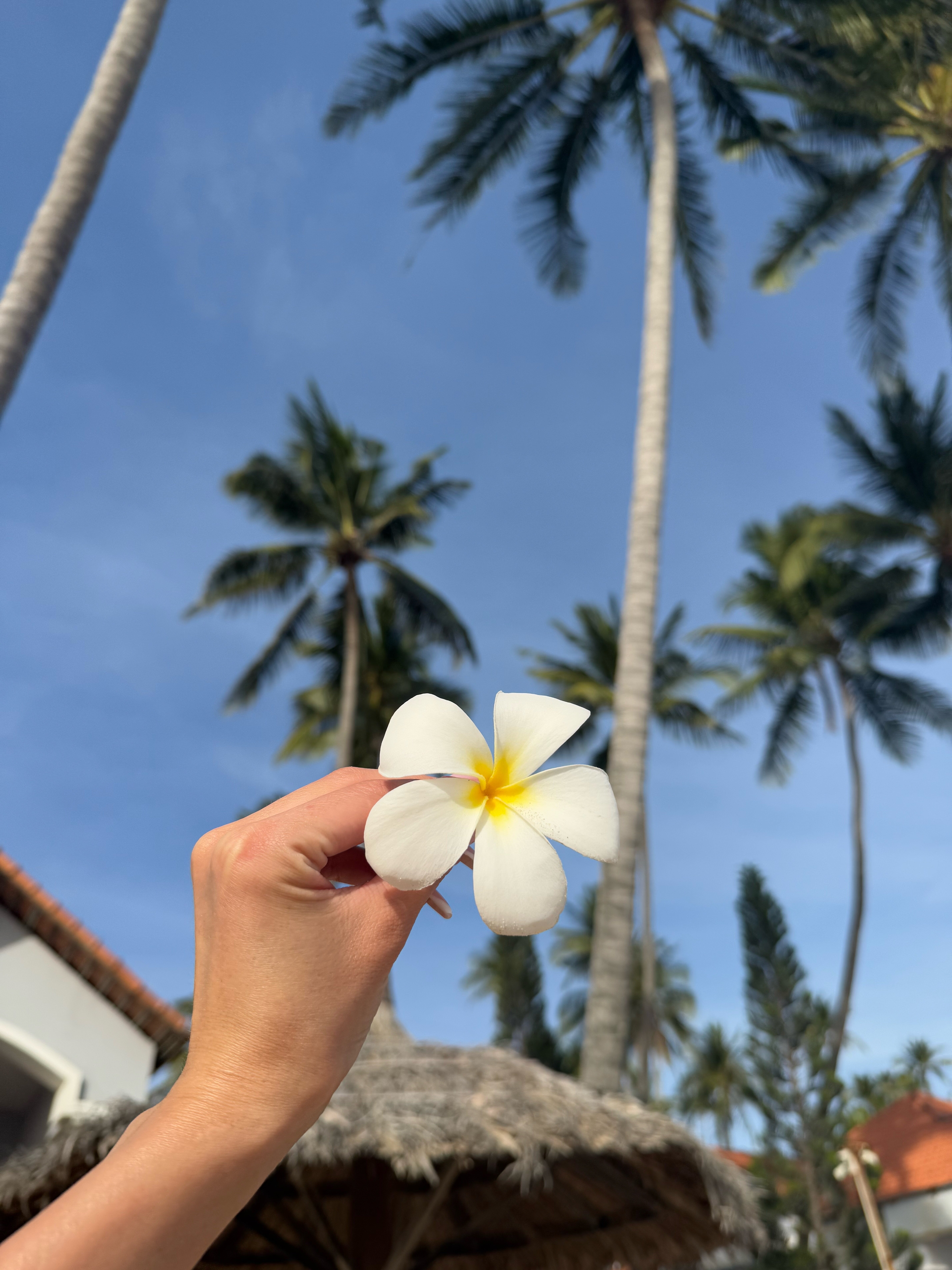 Фото MuiNe Century Beach Resort and SPA