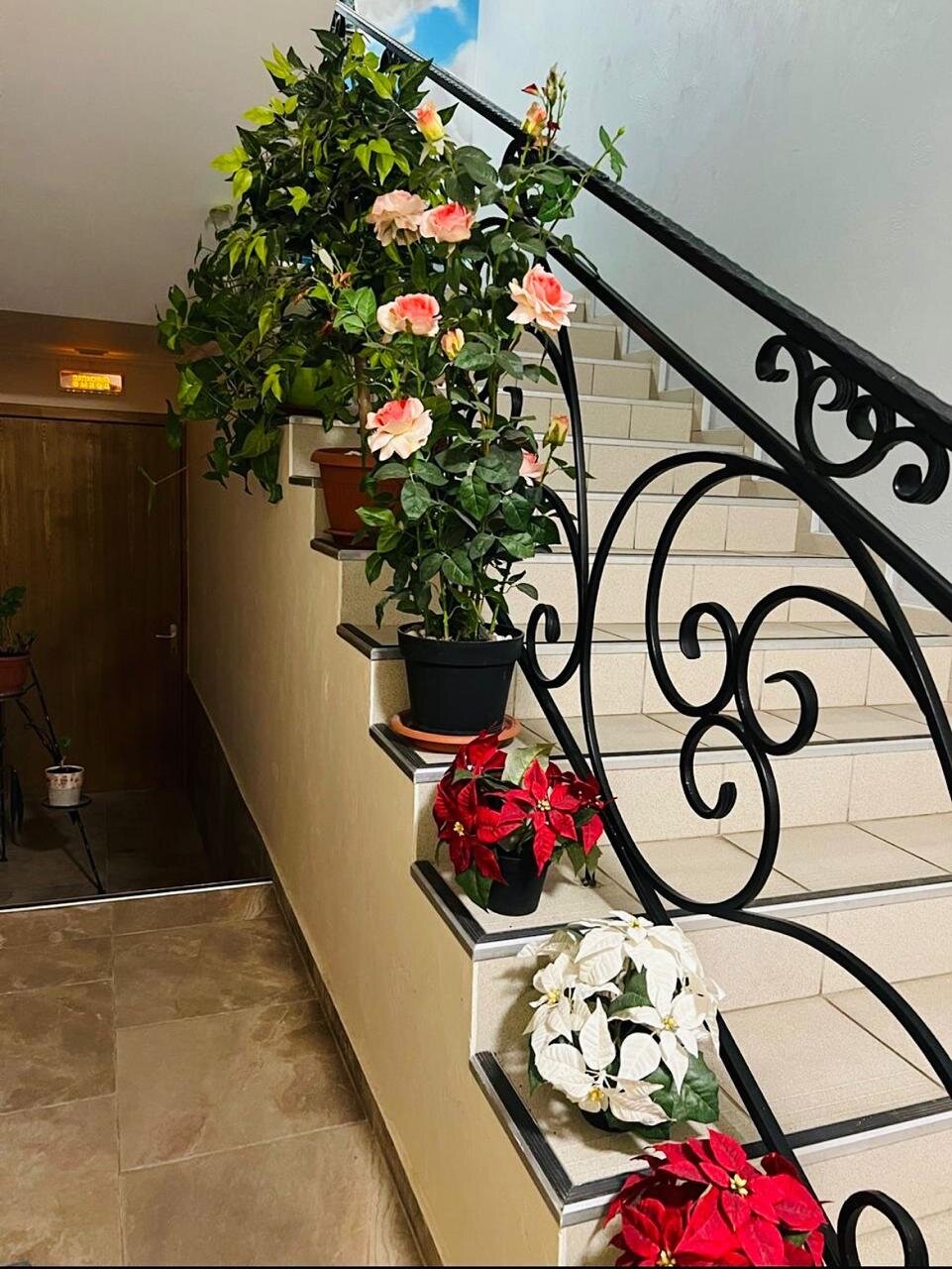 Фото Мон Плезир