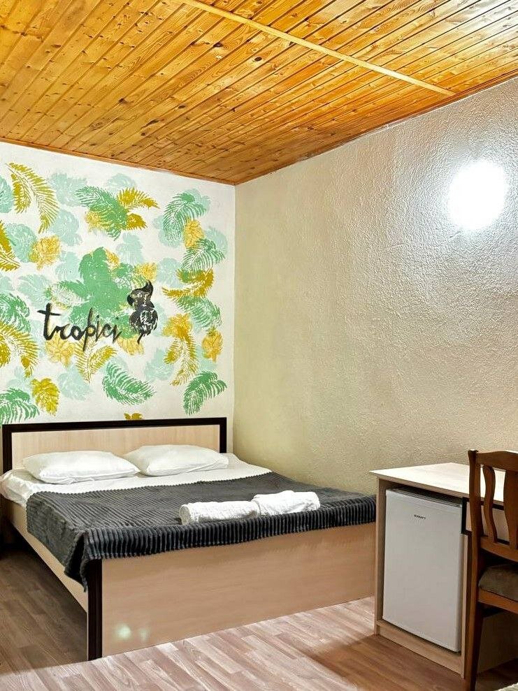 Фото Тропики