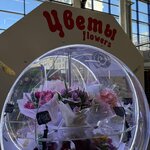 Rose Novoross (Grigoryeva Street, 1), flower shop