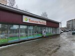 Payment terminal (Moskovskaya Street, 138А), payment terminal