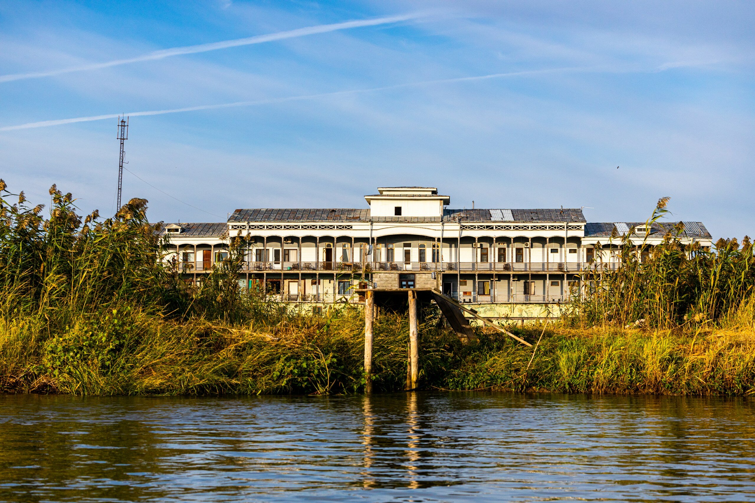 Фото Лесная