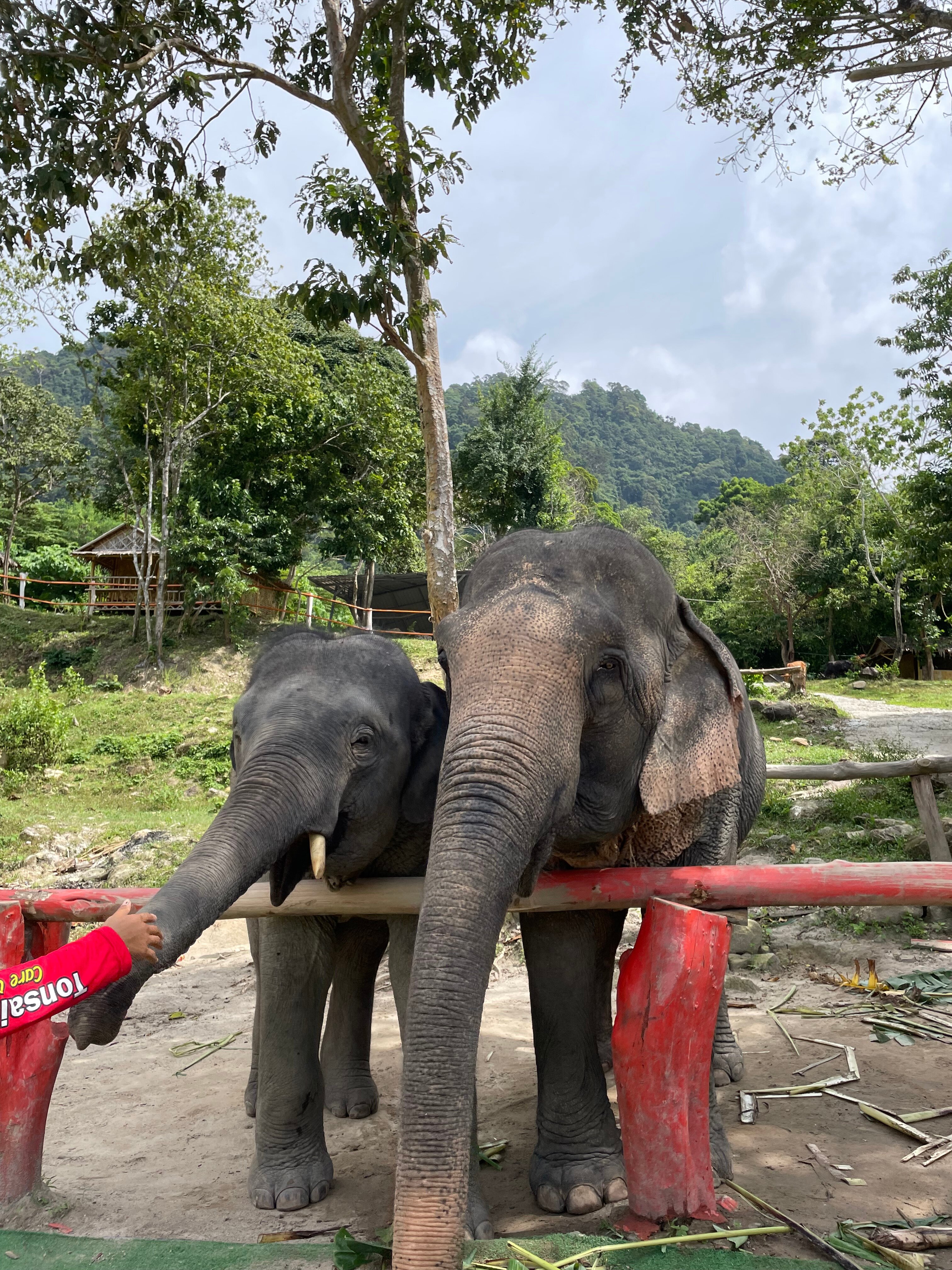 Фото Sunset Beach Resort