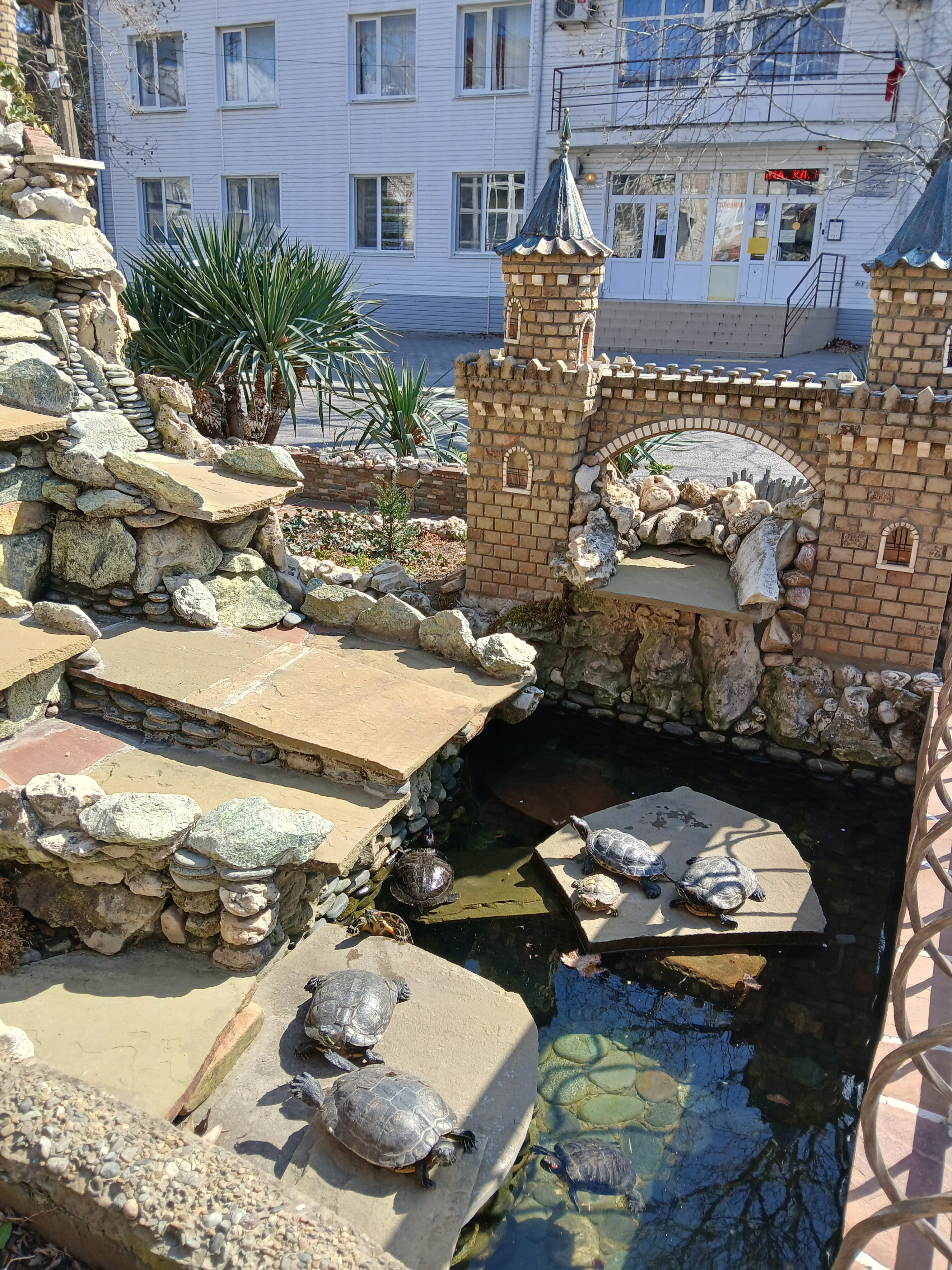 Фото Камелот