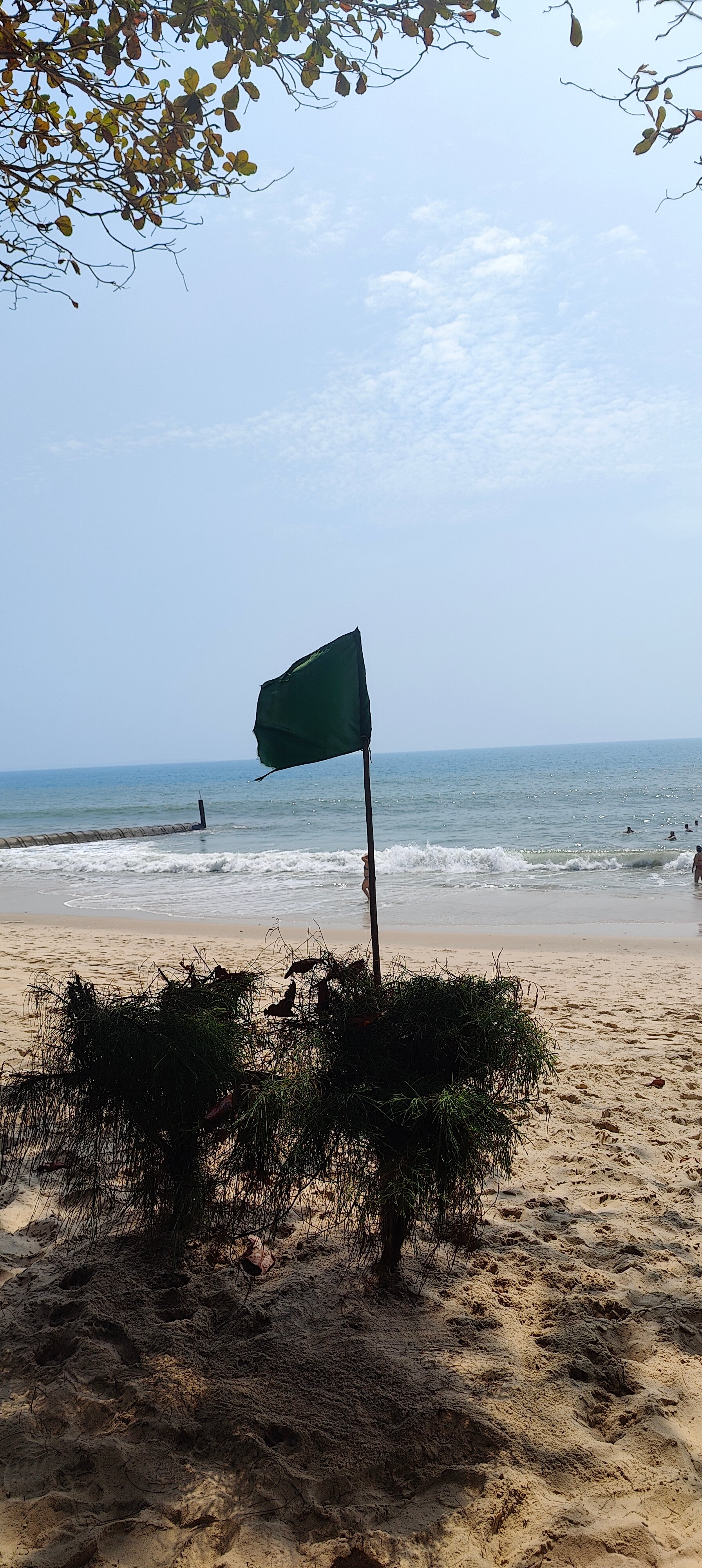 Фото Blue Ocean Resort