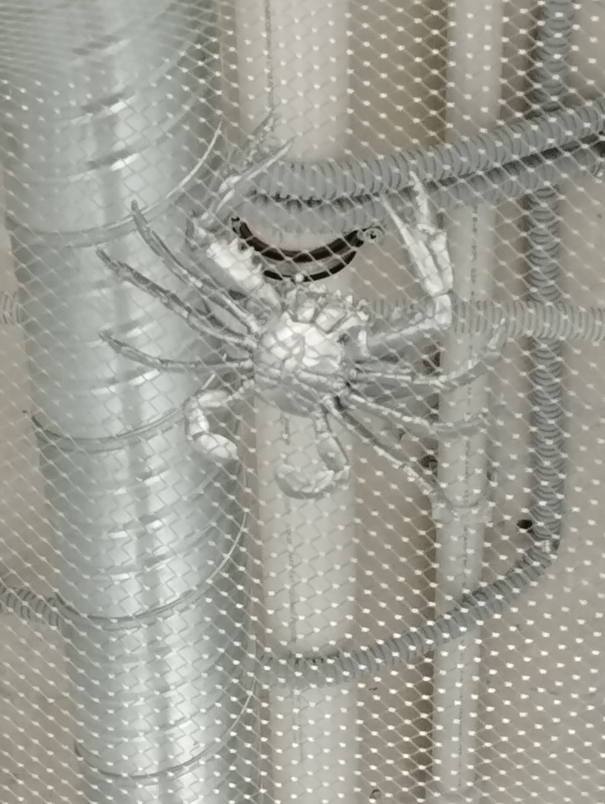 Фото Полярник