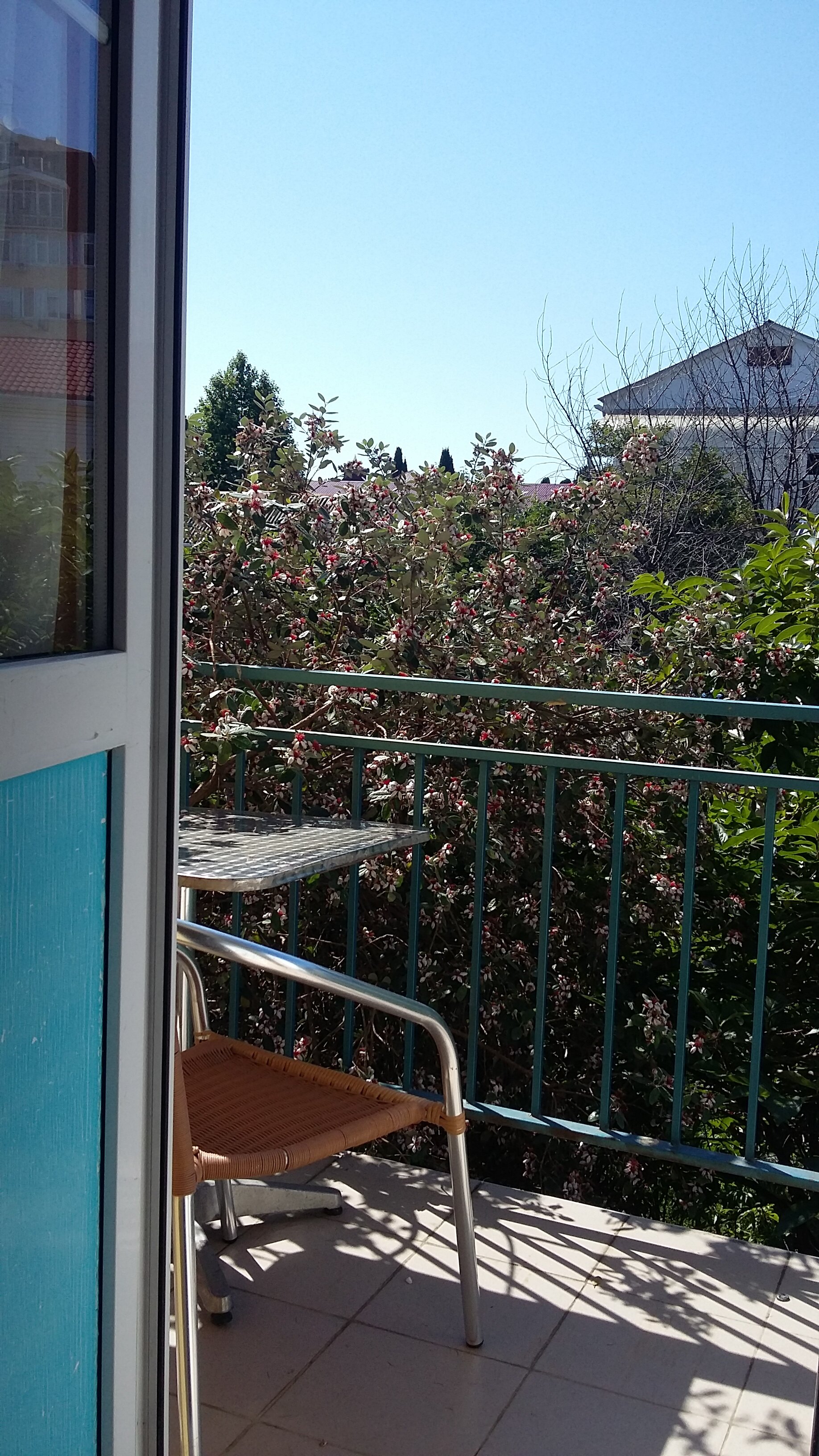 Фото Гринго