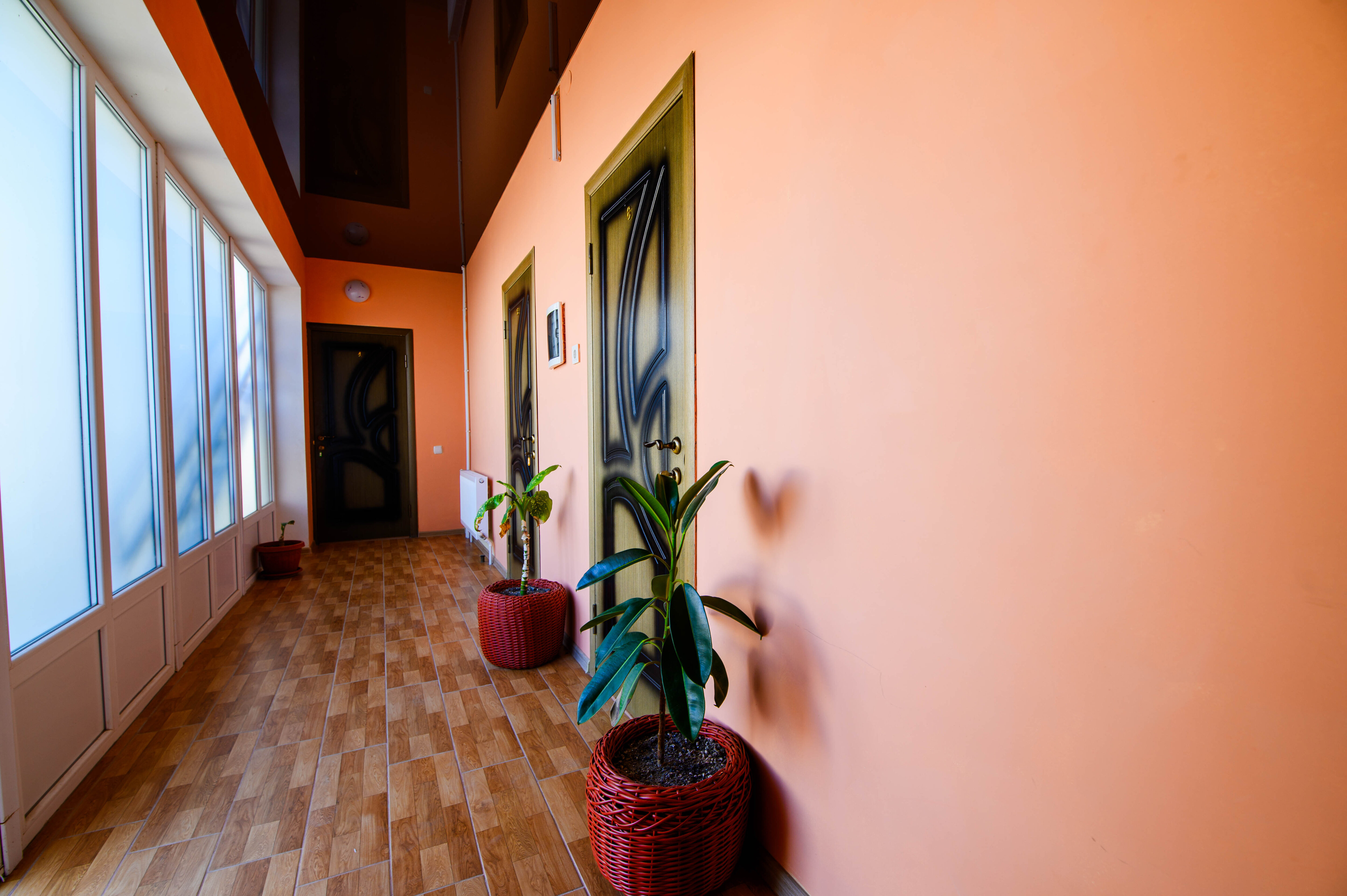 Фото Альянс