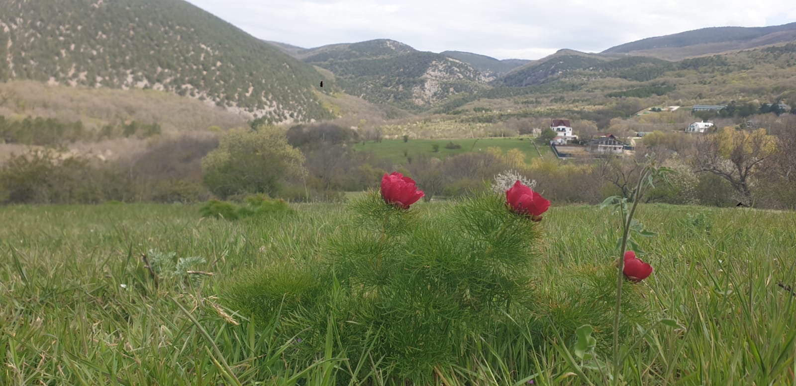 Фото Крымская Швейцария