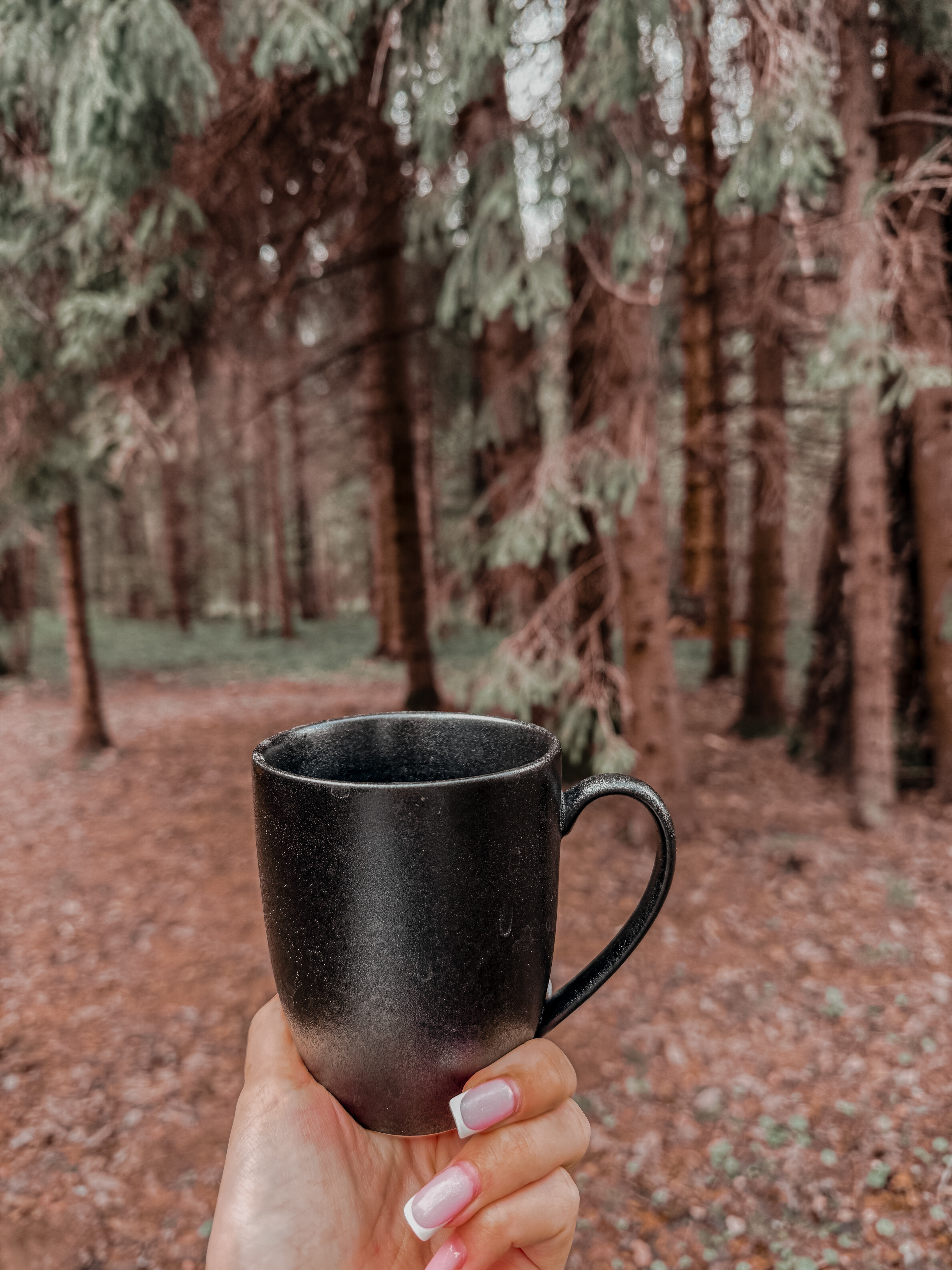 Фото Хвоя Secret Place