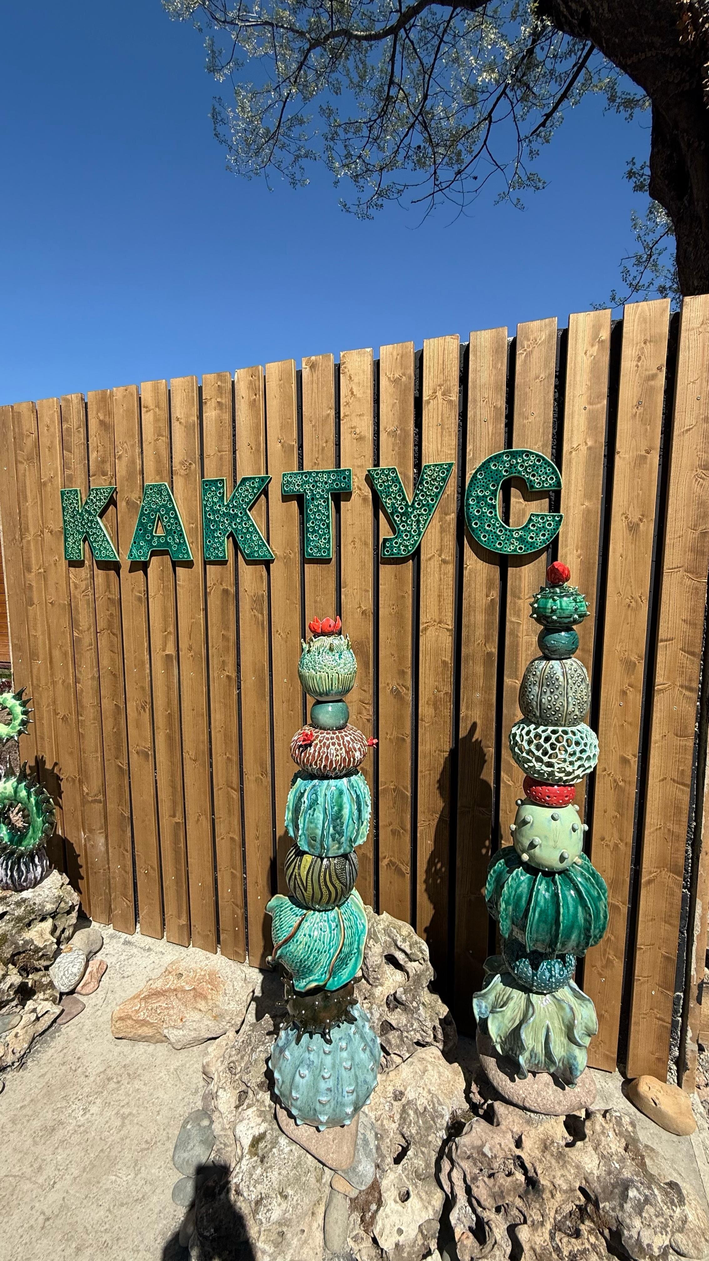 Фото Кактус Арт