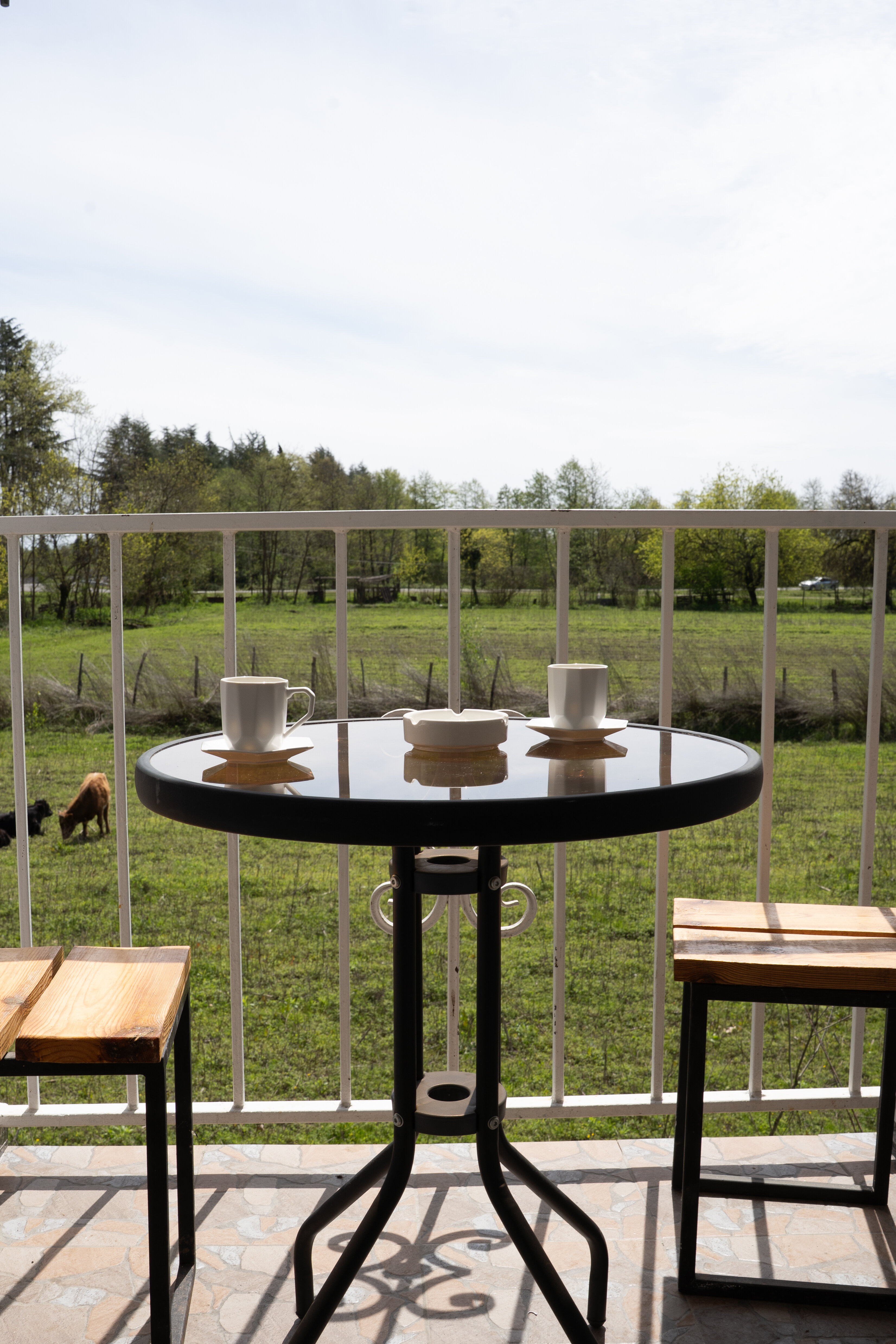 Фото Rodnik village&spa