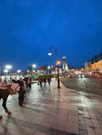 Площадь Борцов Революции (Primorye Territory, Vladivostok, Svetlanskaya Street), parada de transporte público