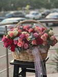Flora X Sochi (Donskaya Street, 108), floristeria