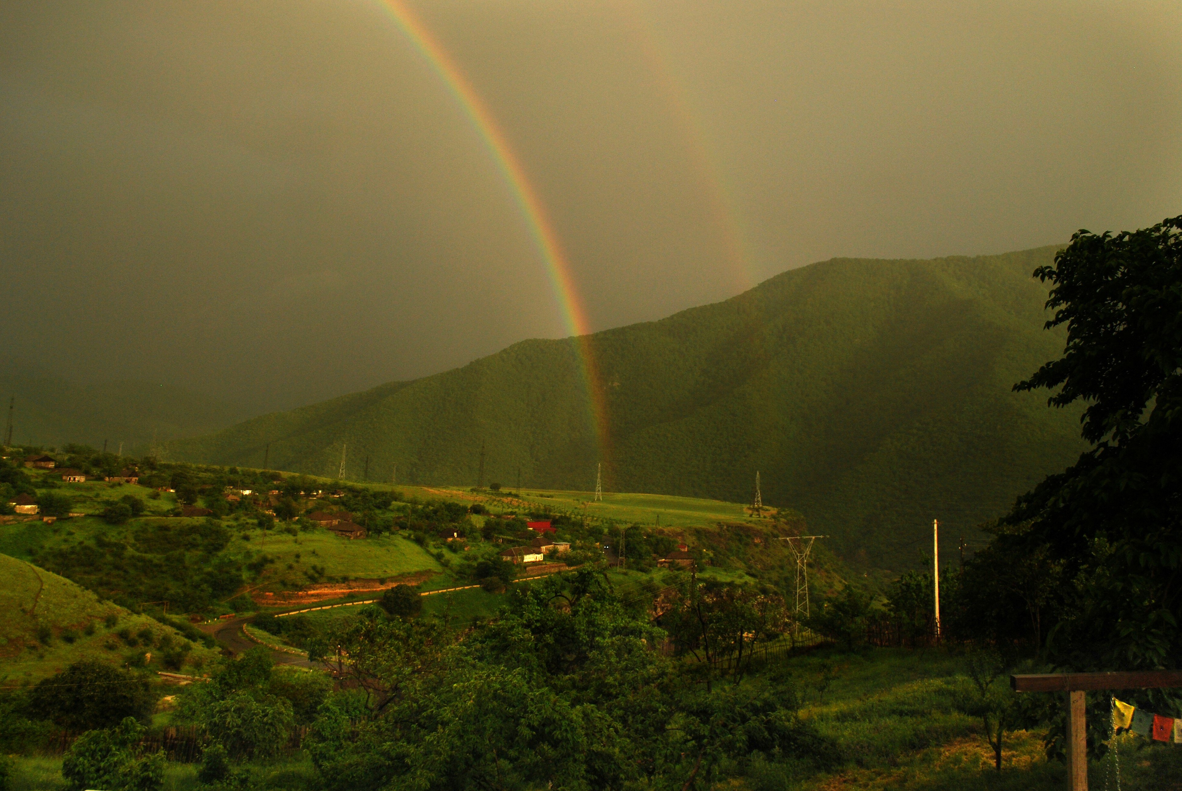 Фото Гостевой дом Кипарис