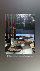 Иное жильё Ёлки-иголки