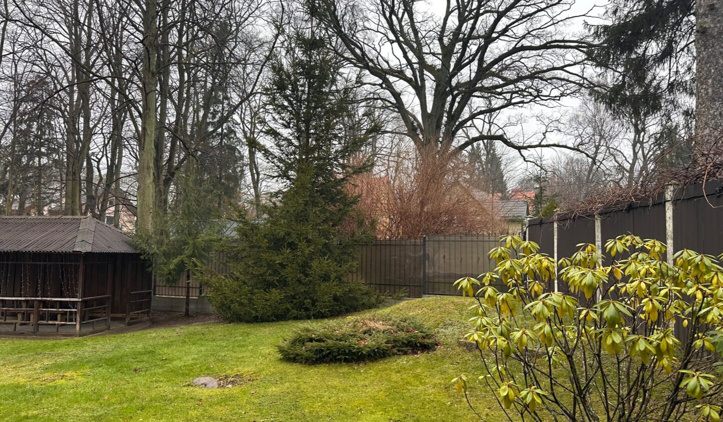 Фото Лес Георга