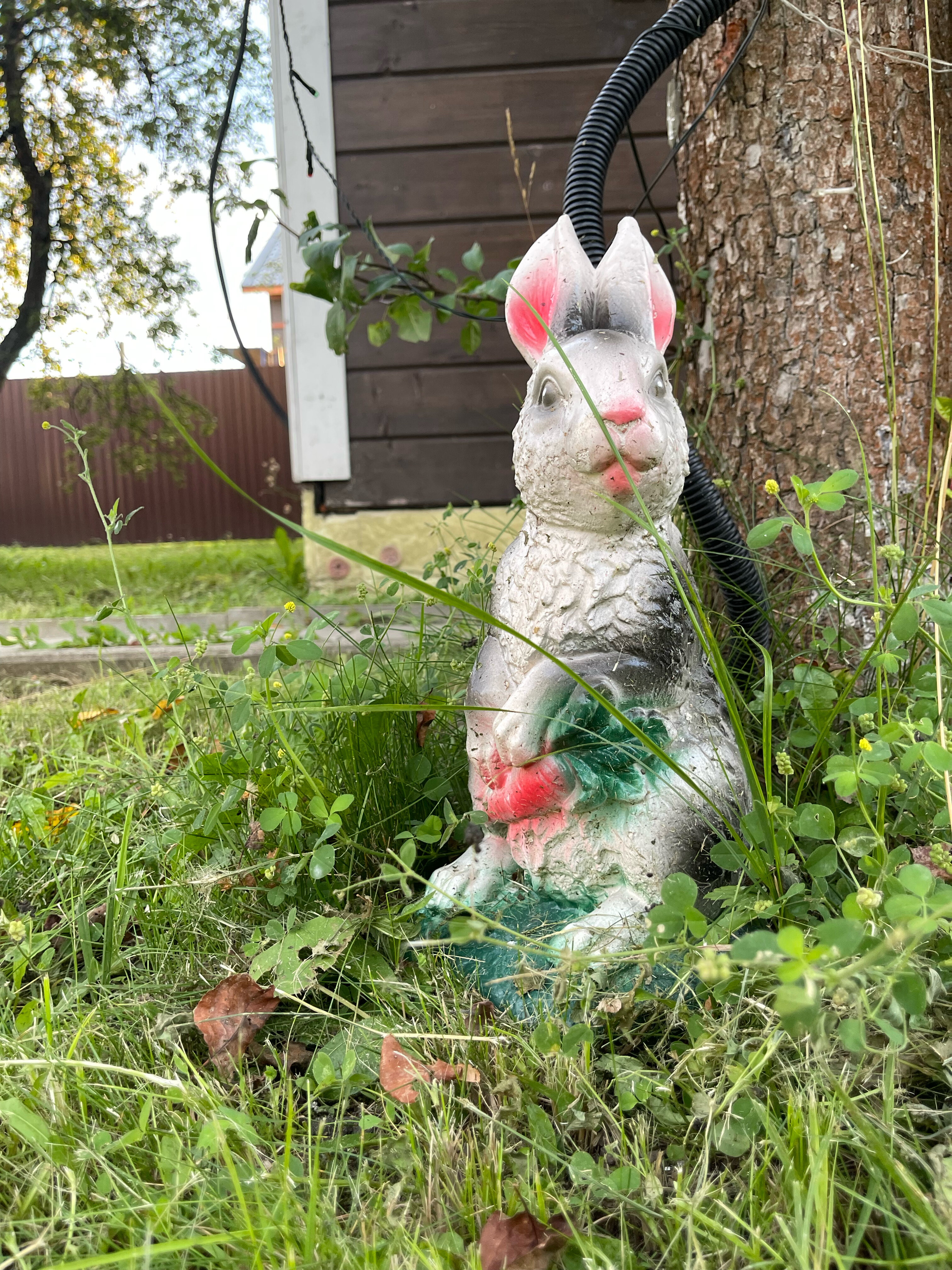 Фото Усадьба