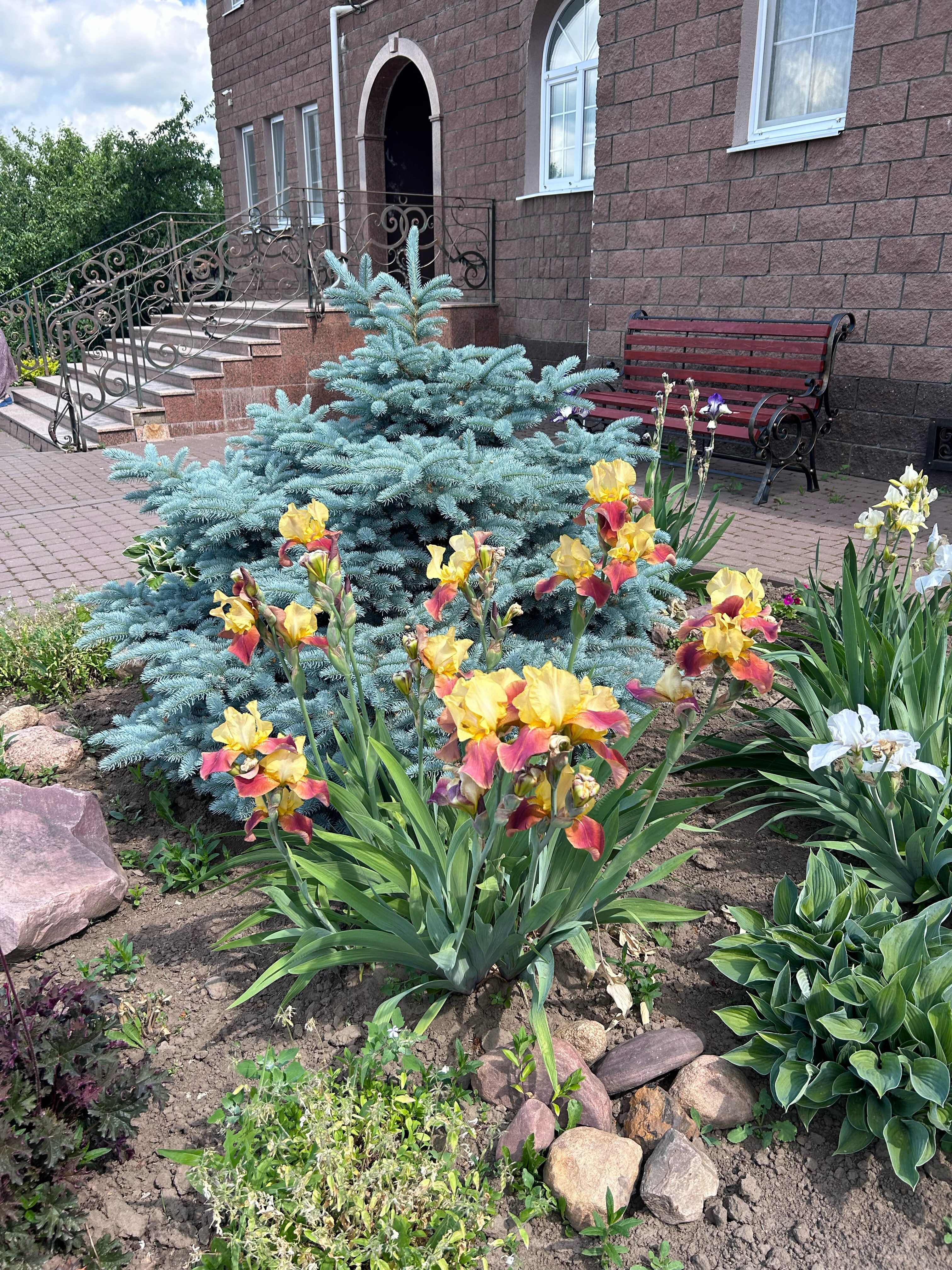 Фото Пилигрим