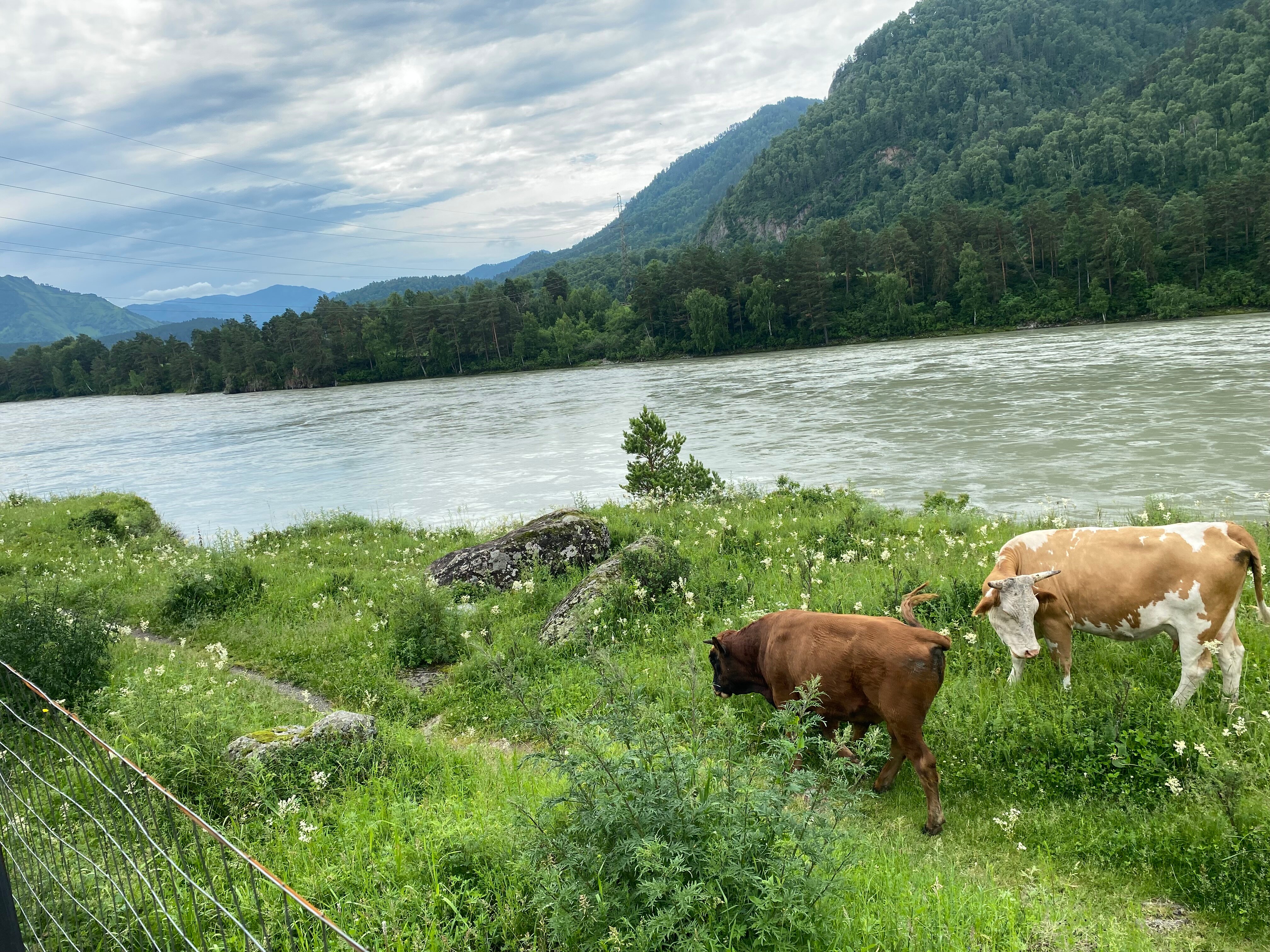 Фото Утес Катуни