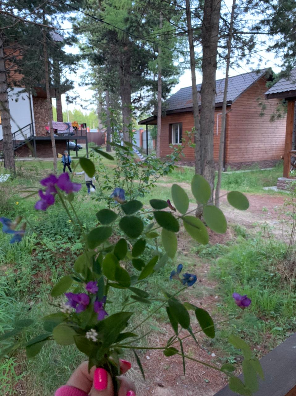 Фото Дом отдыха Байкал