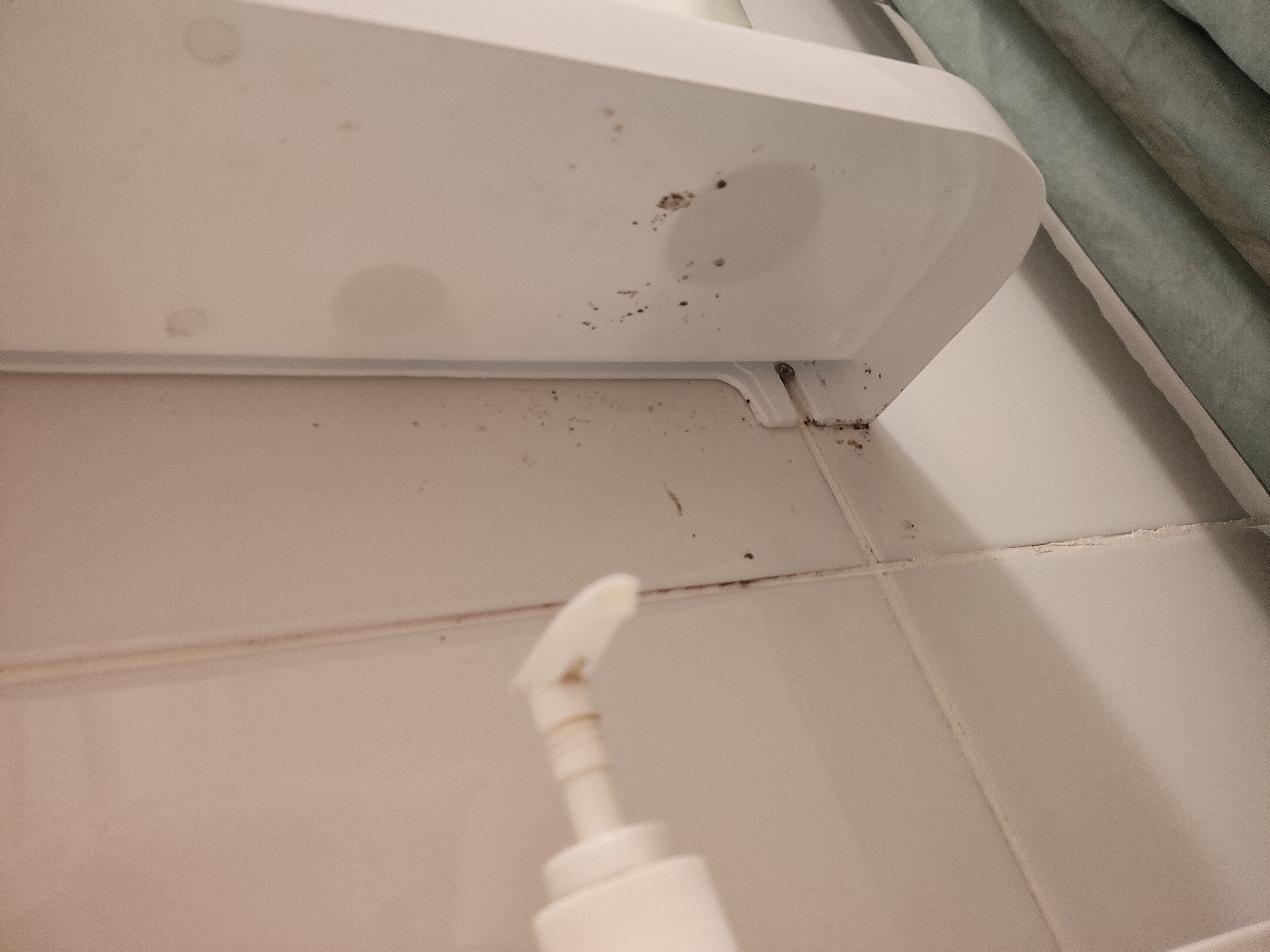 Фото WhiteNight на Фонтанке