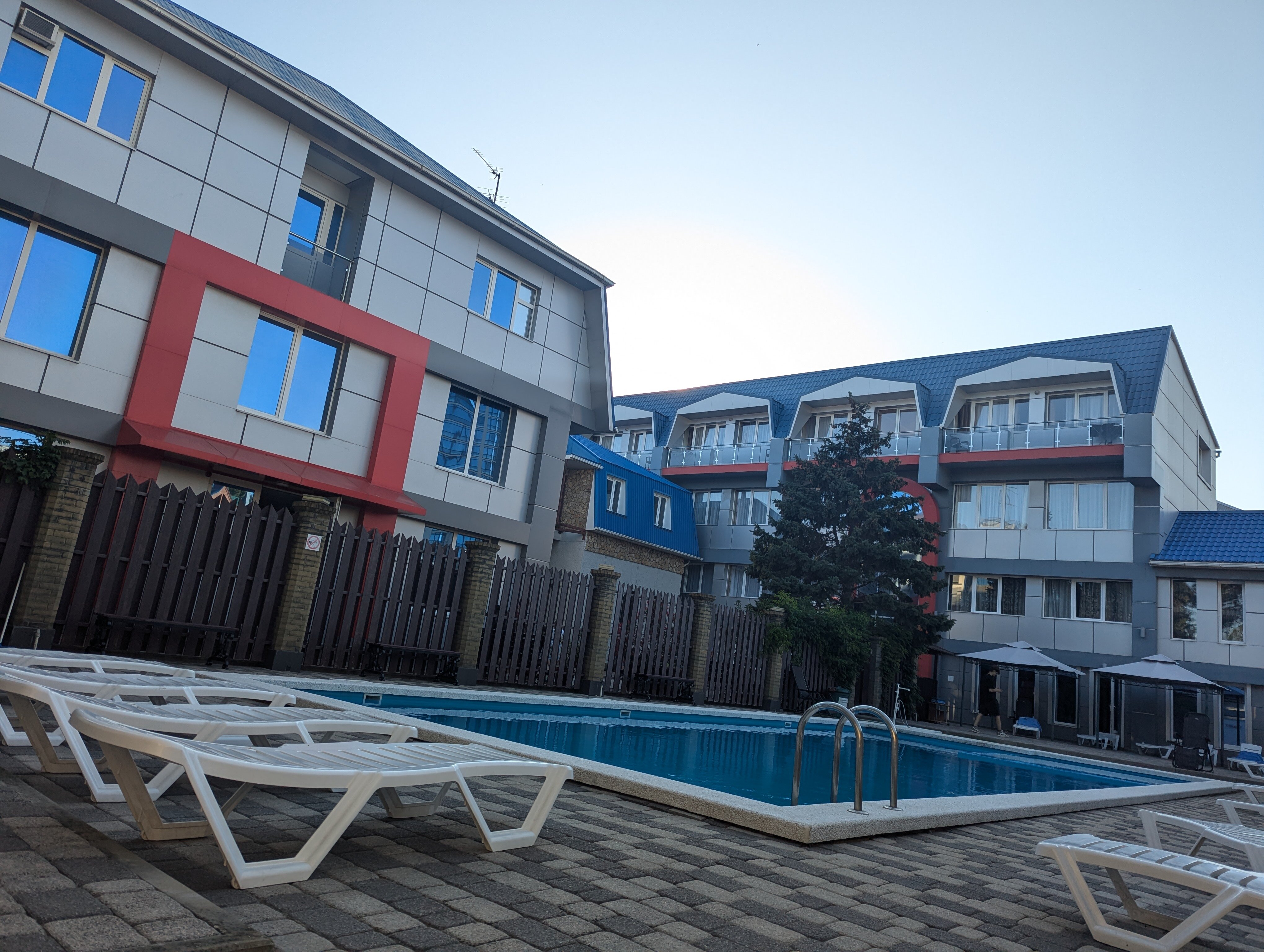 Фото Тополь