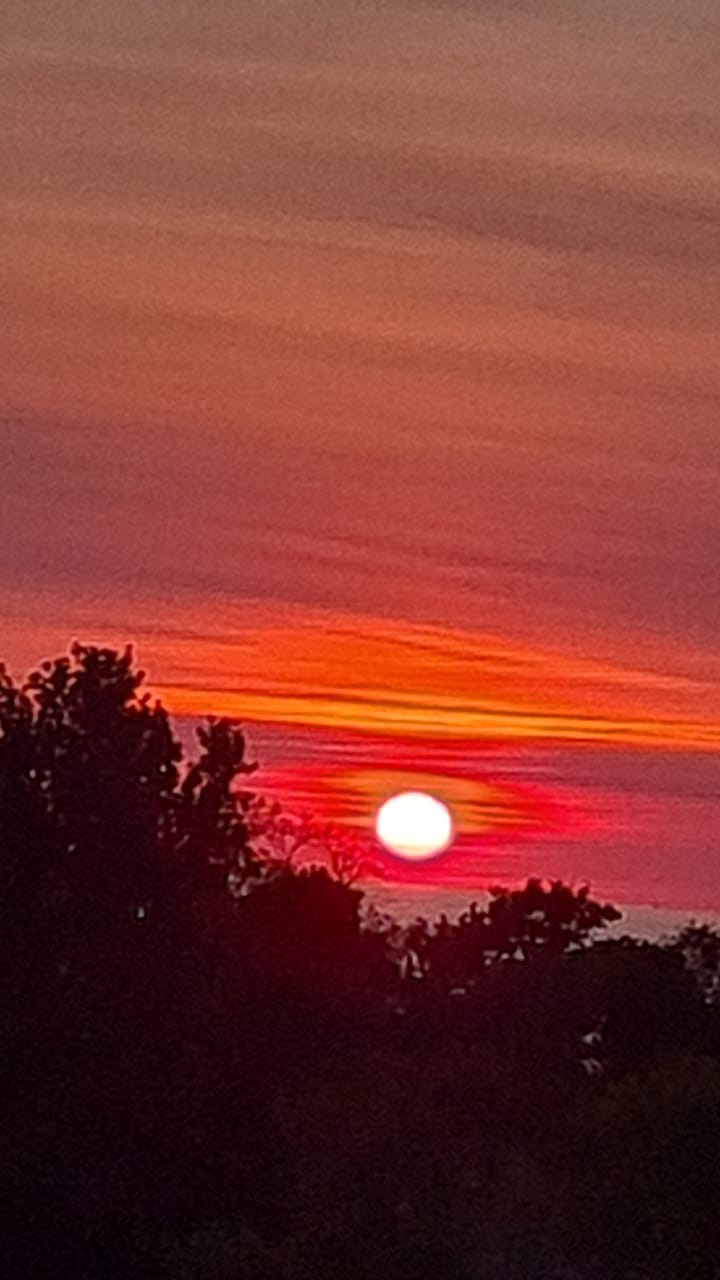 Фото На Сибирякова 7