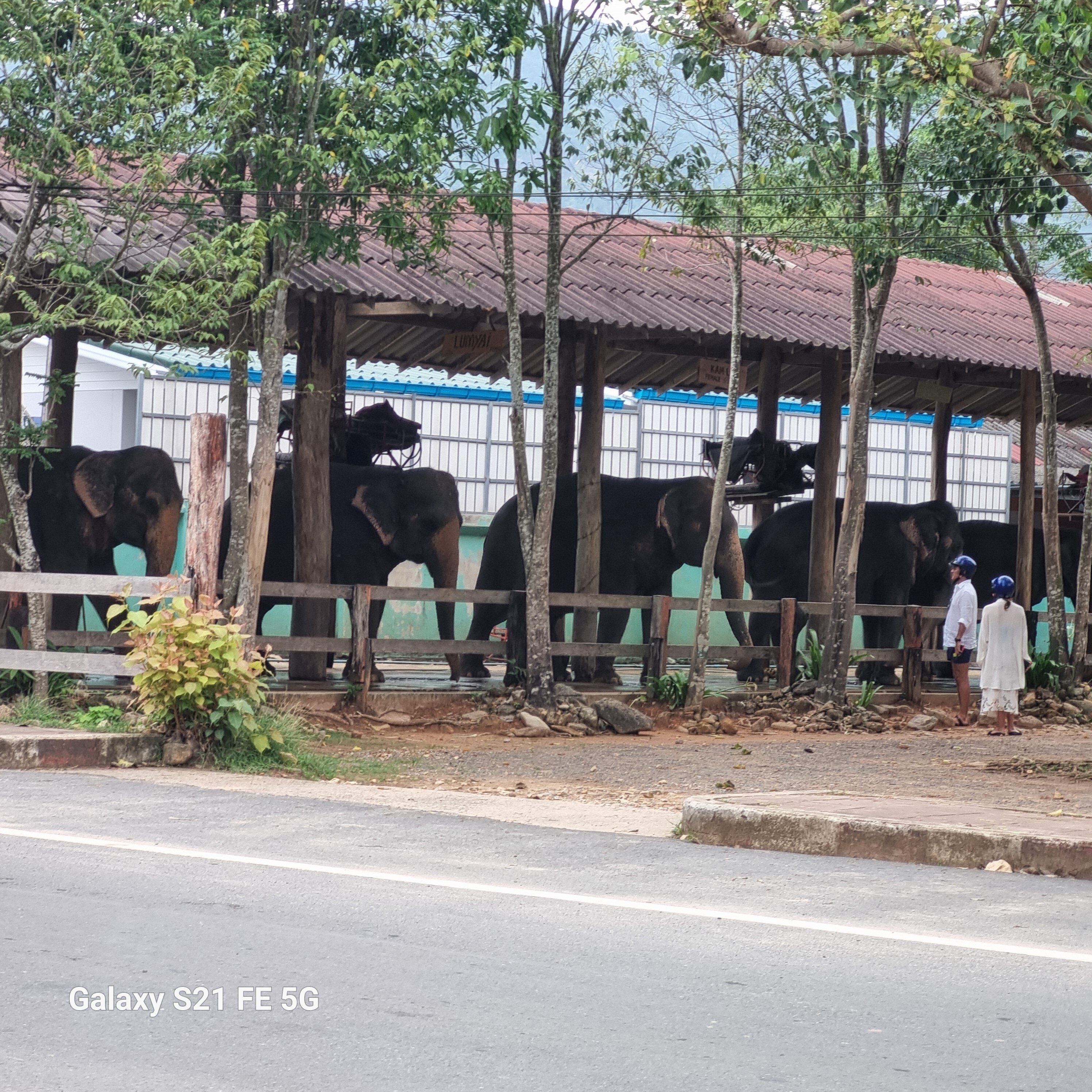 Фото Centara Koh Chang Tropicana Resort