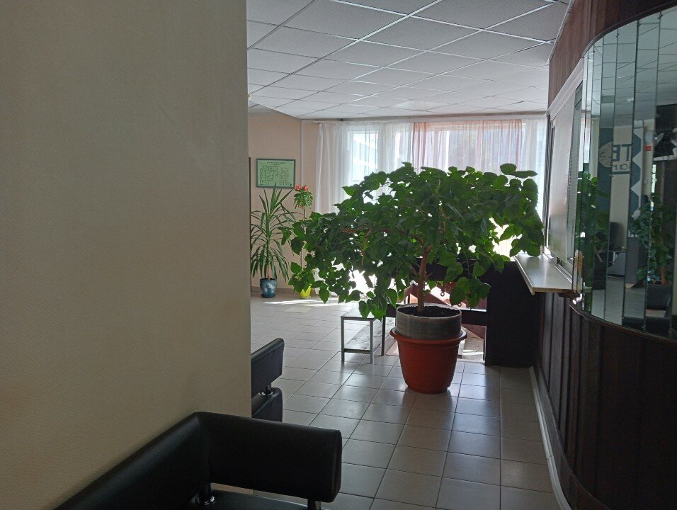 Фото Северянка