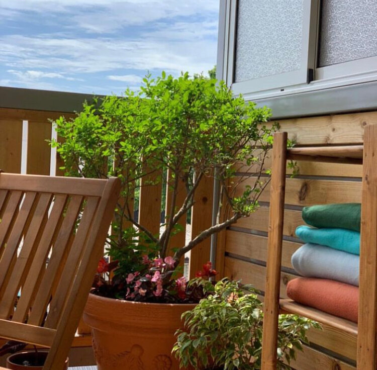 Фото Гармония