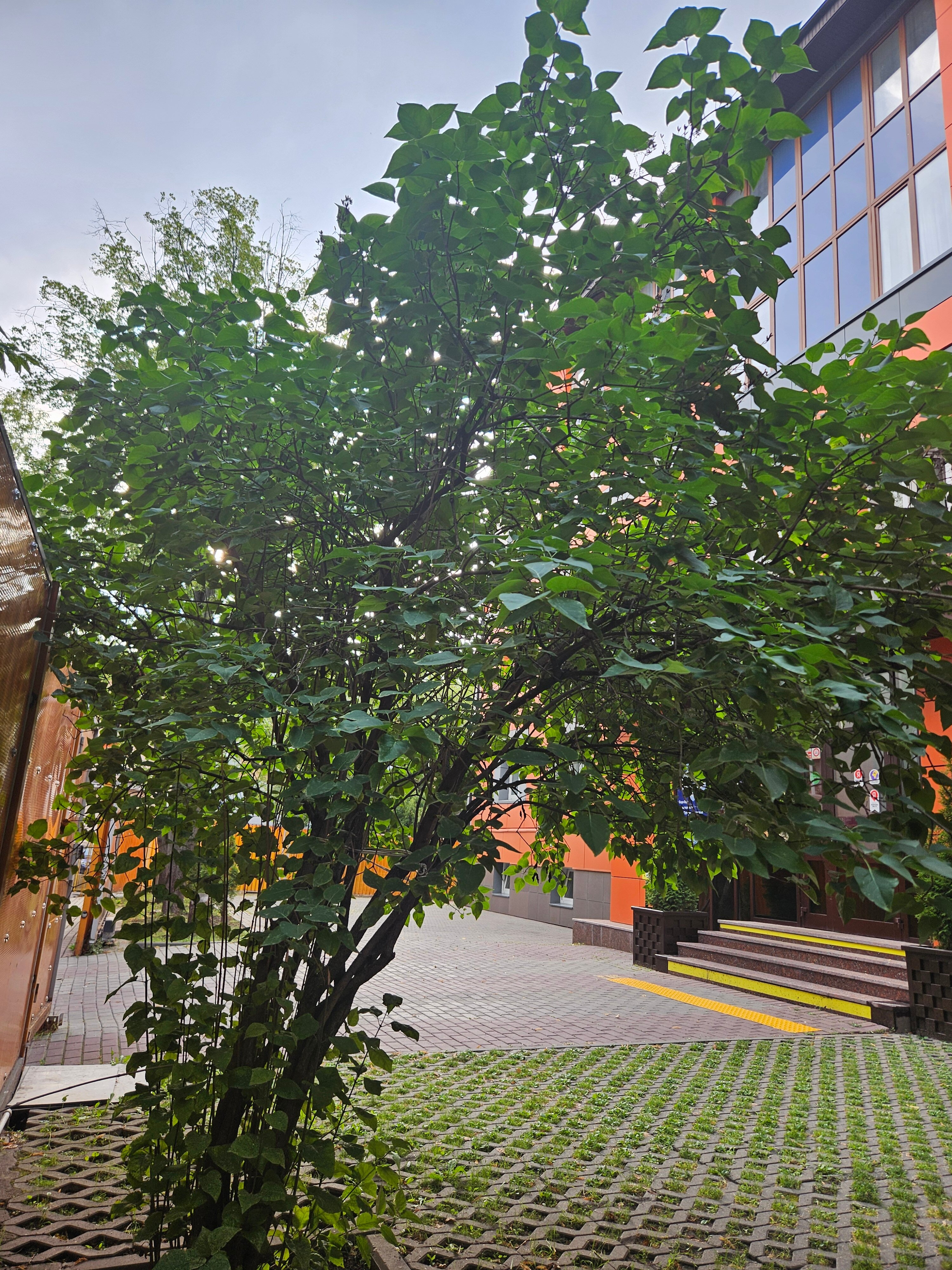 Фото Премьера