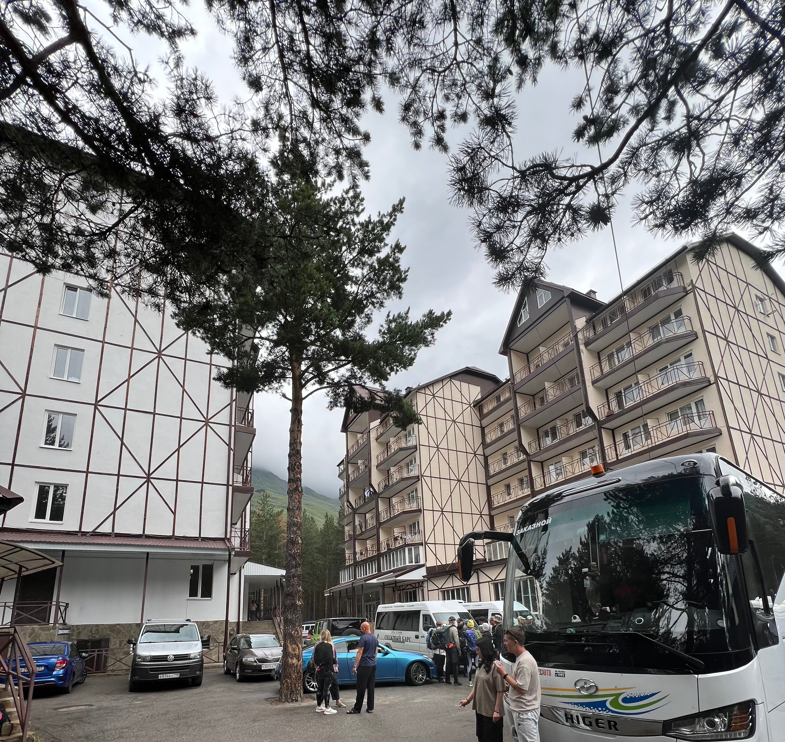 Фото Снежный Барс