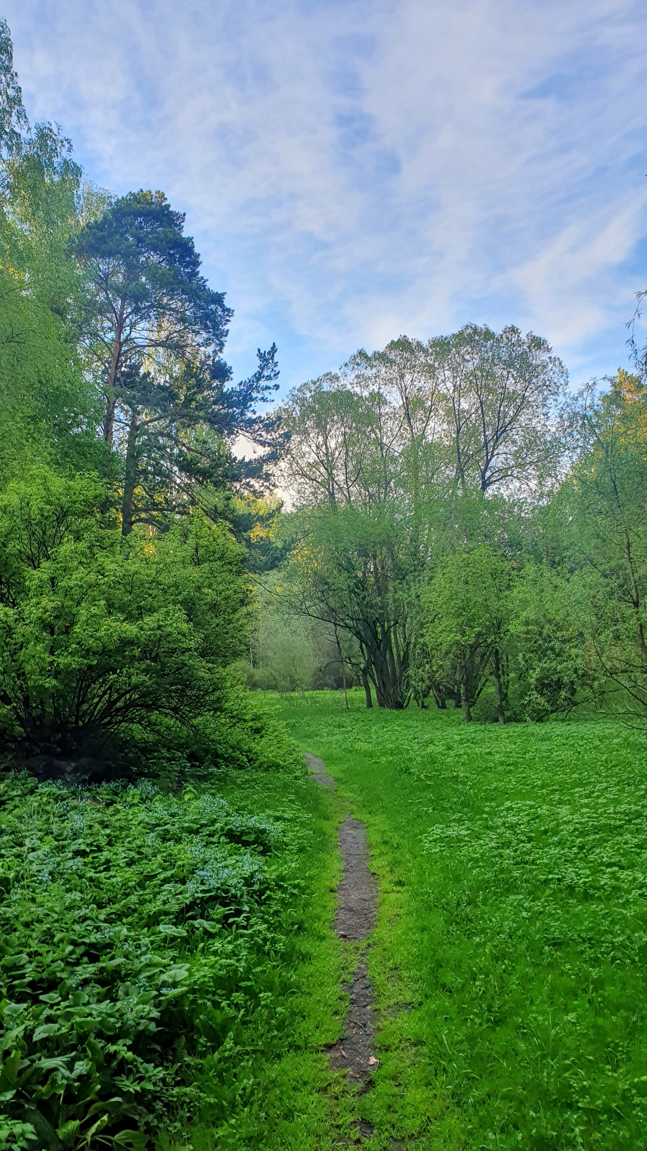 Фото Золотая долина
