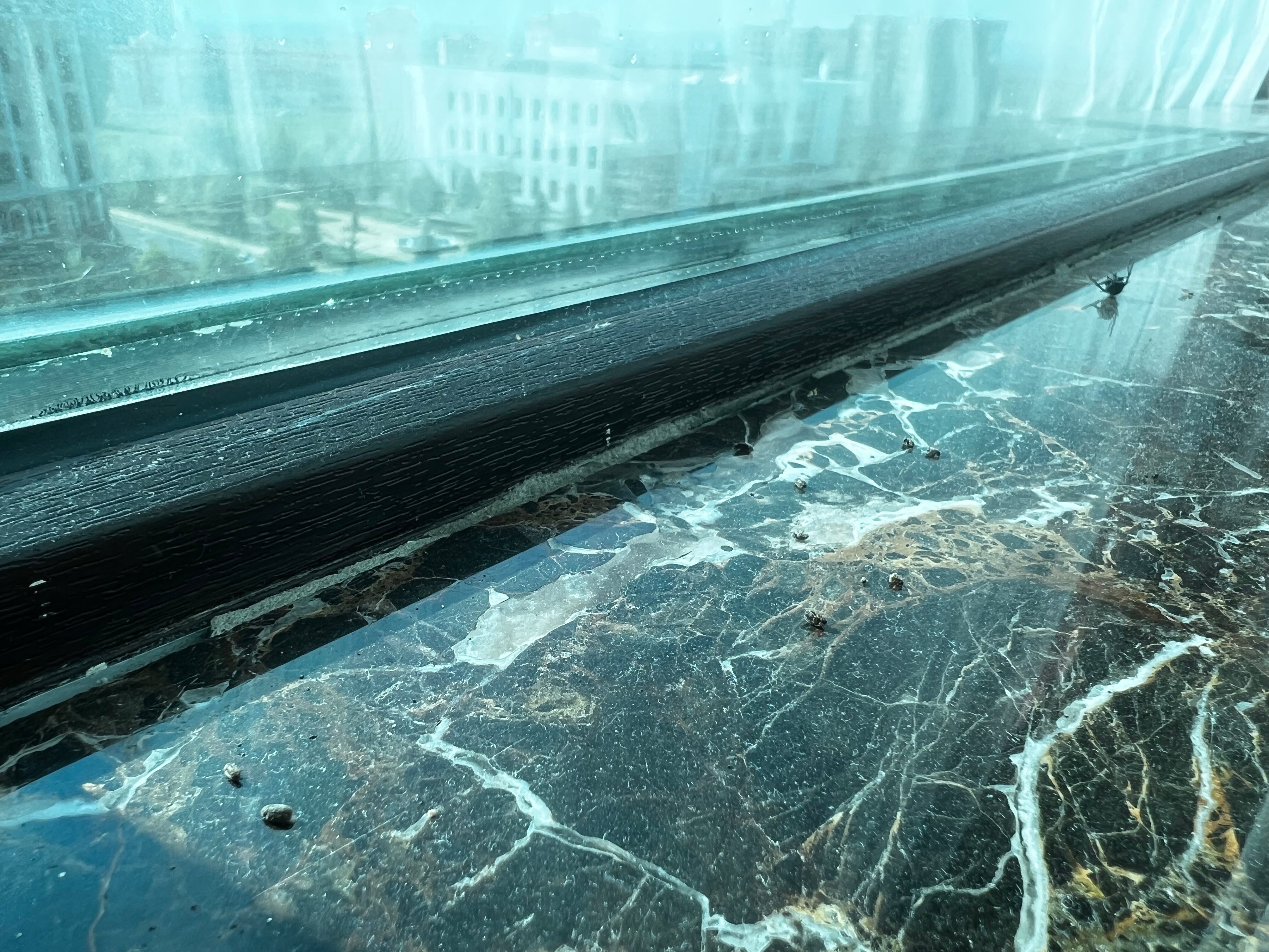 Фото Артис Плаза