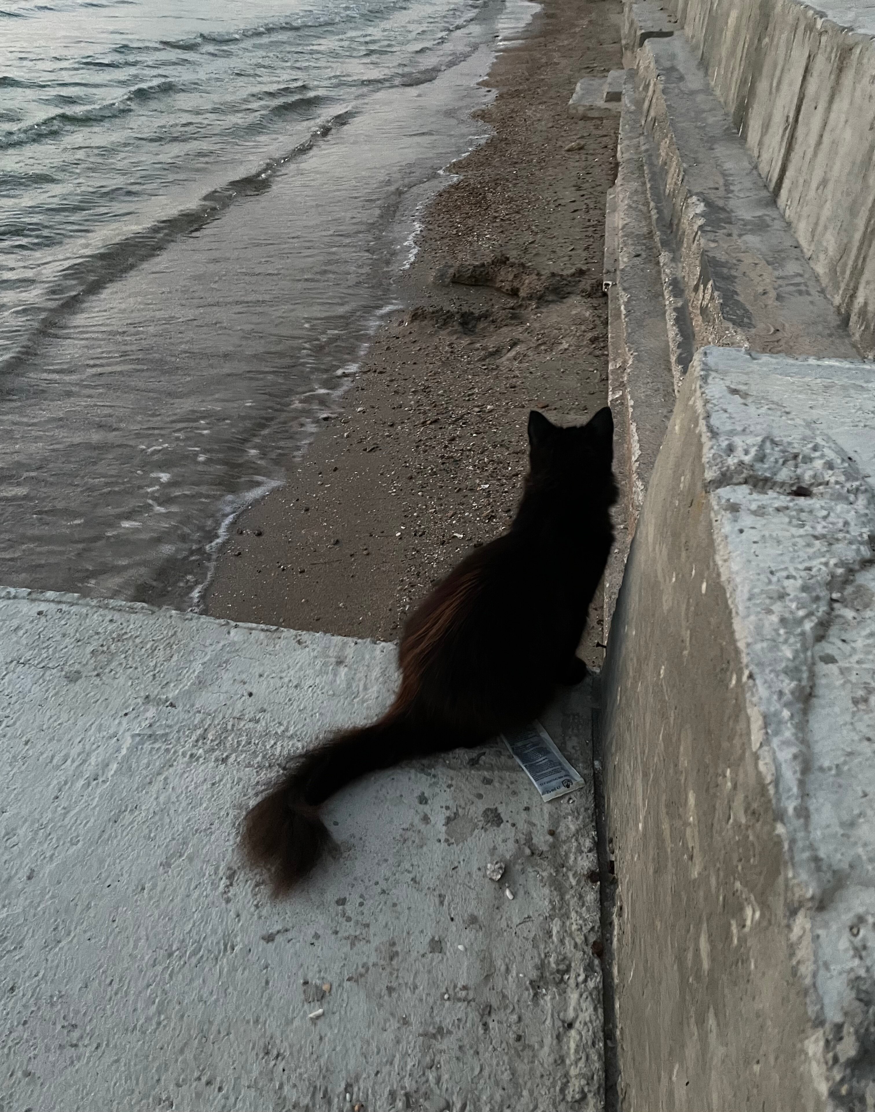 Фото Райская гавань