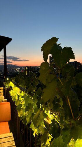 Гостиница Piano Hotel в Тбилиси