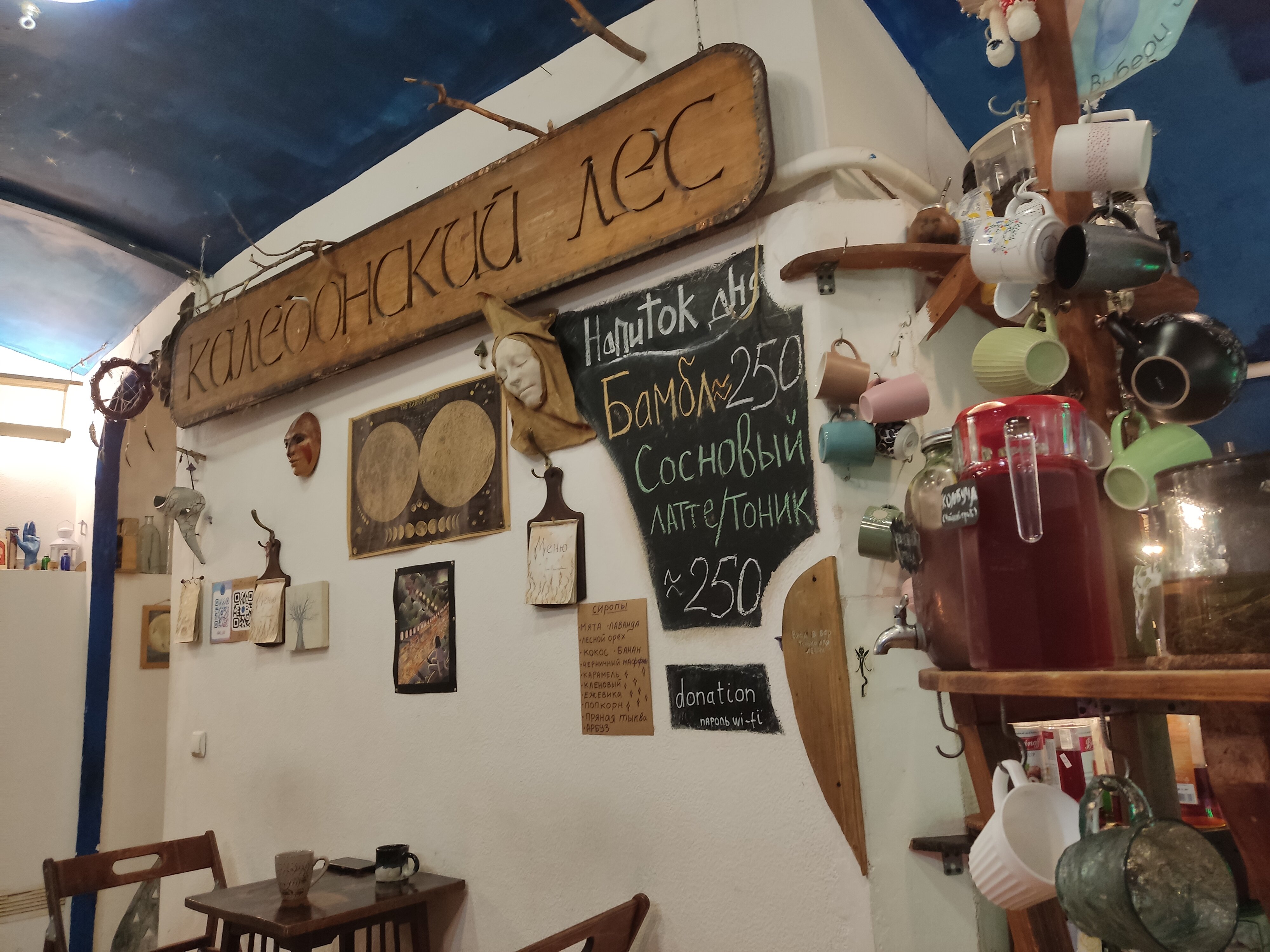 Панорама: Каледонский лес, антикафе, Чкаловский просп., 26К, Санкт-Петербург, Ро
