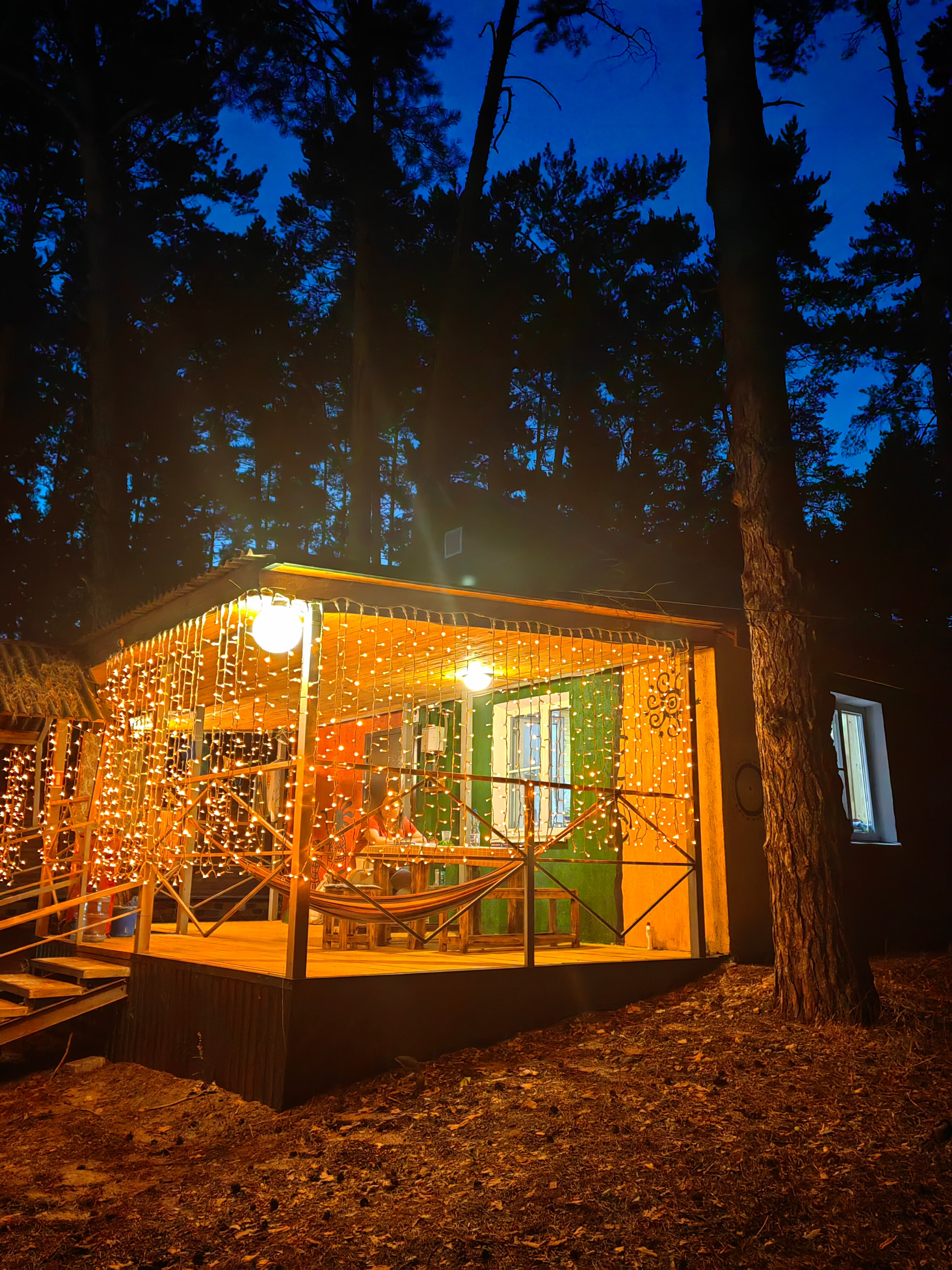 Фото Лесная дача