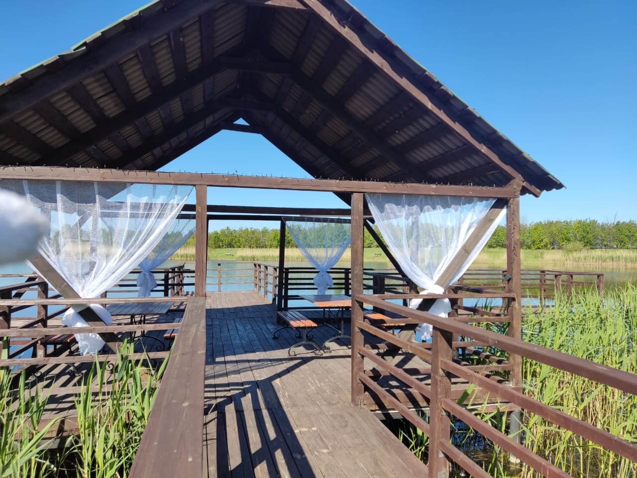 Фото Zолотой саZан