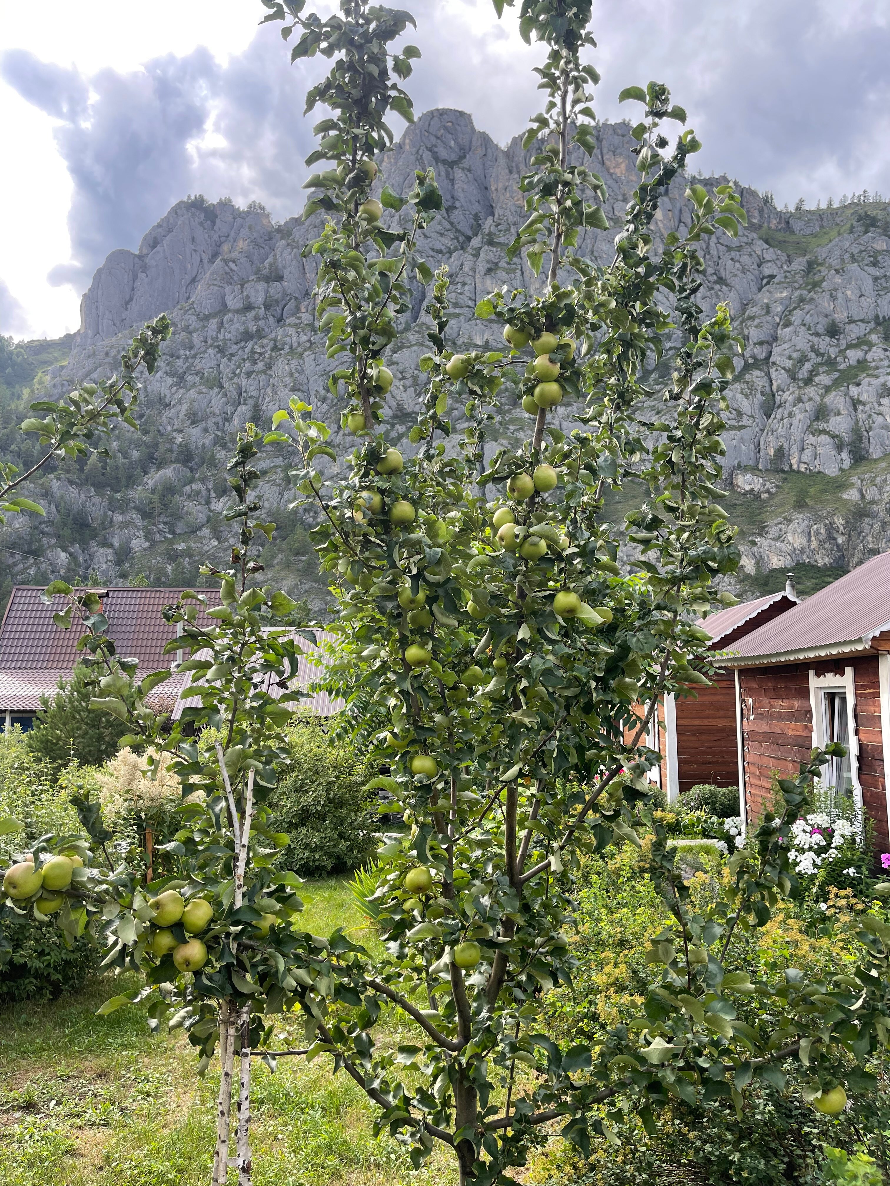 Фото Деревушка