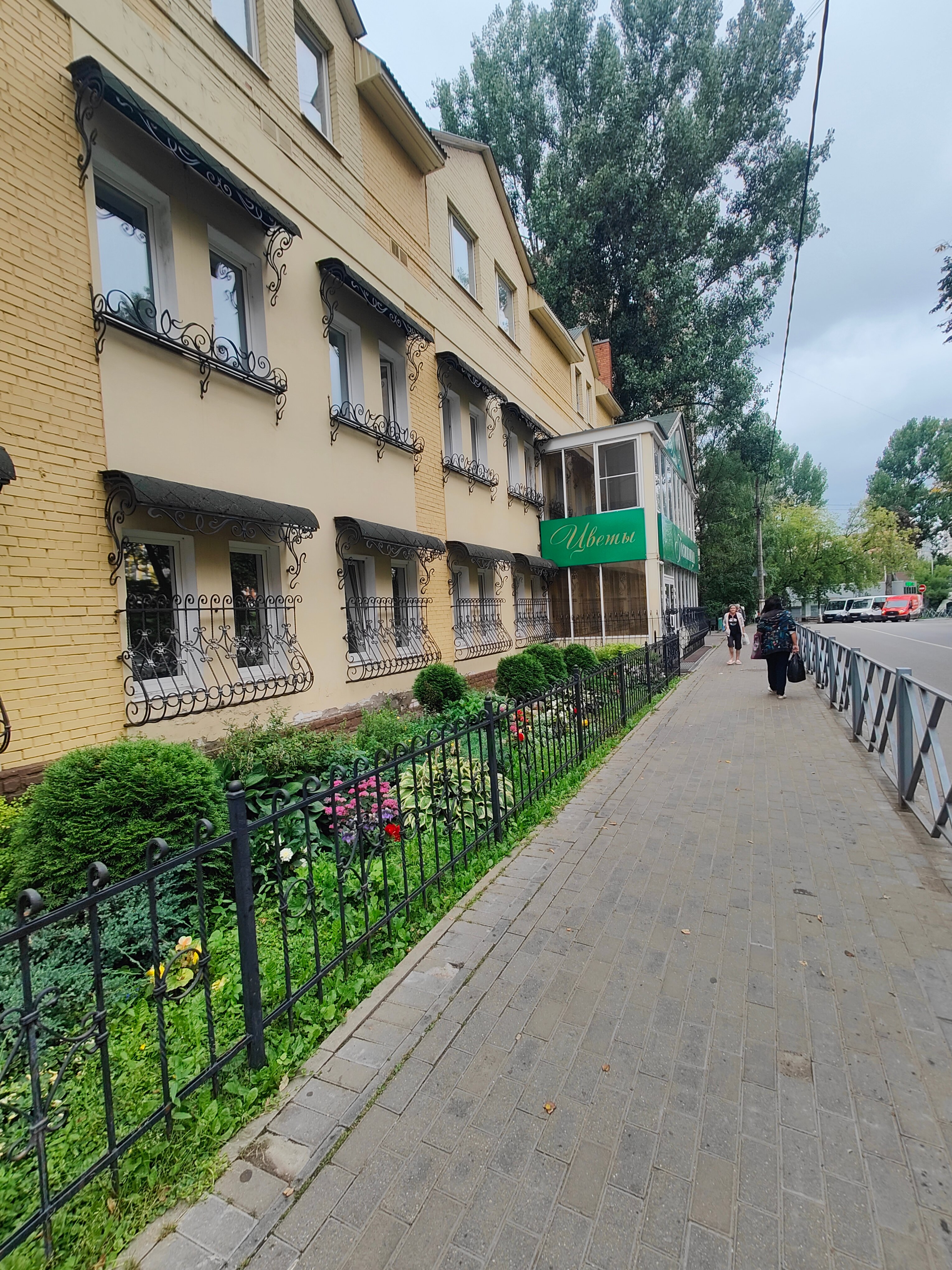 Фото Клевер