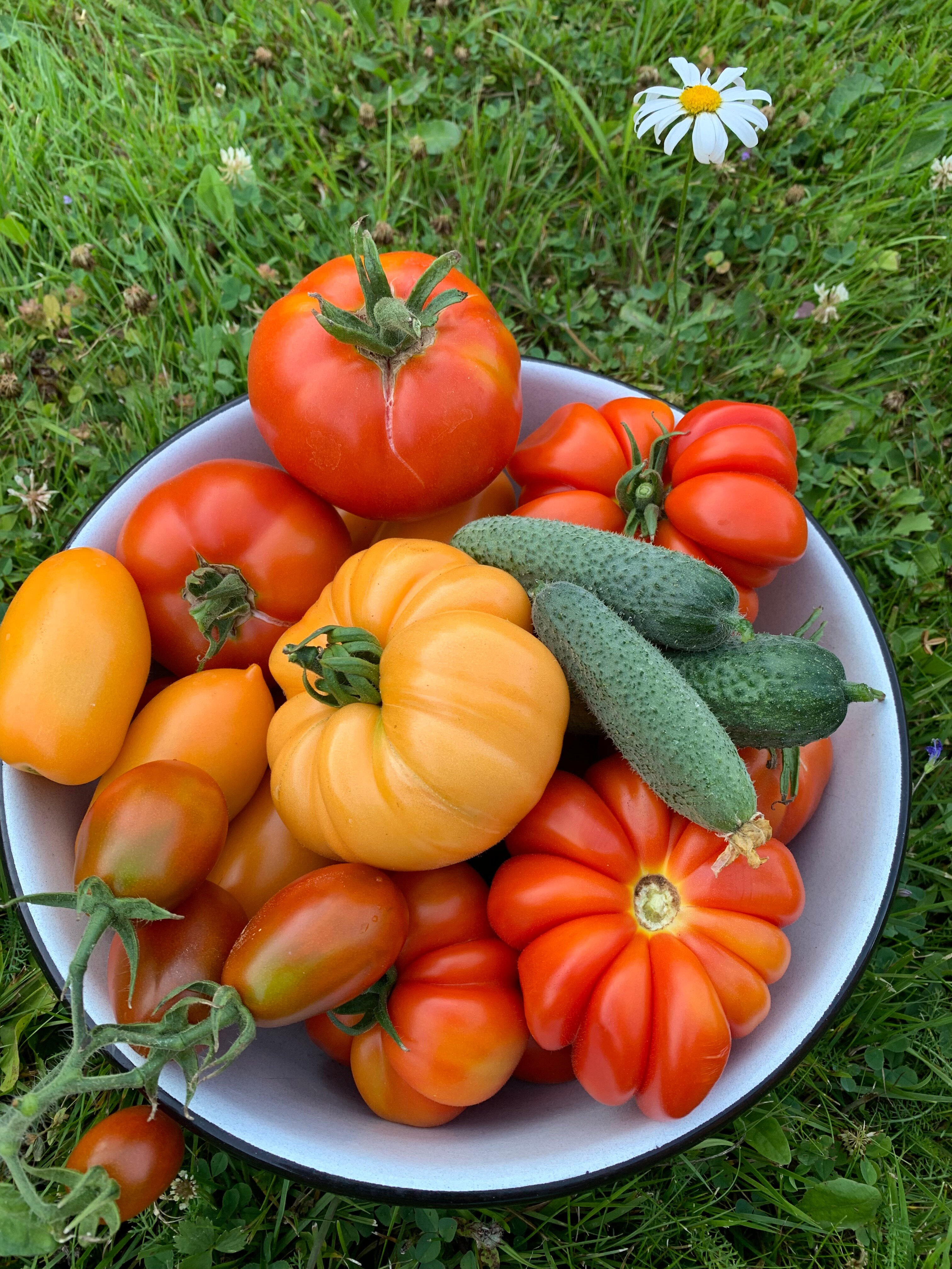 Фото Вилла Лаванда